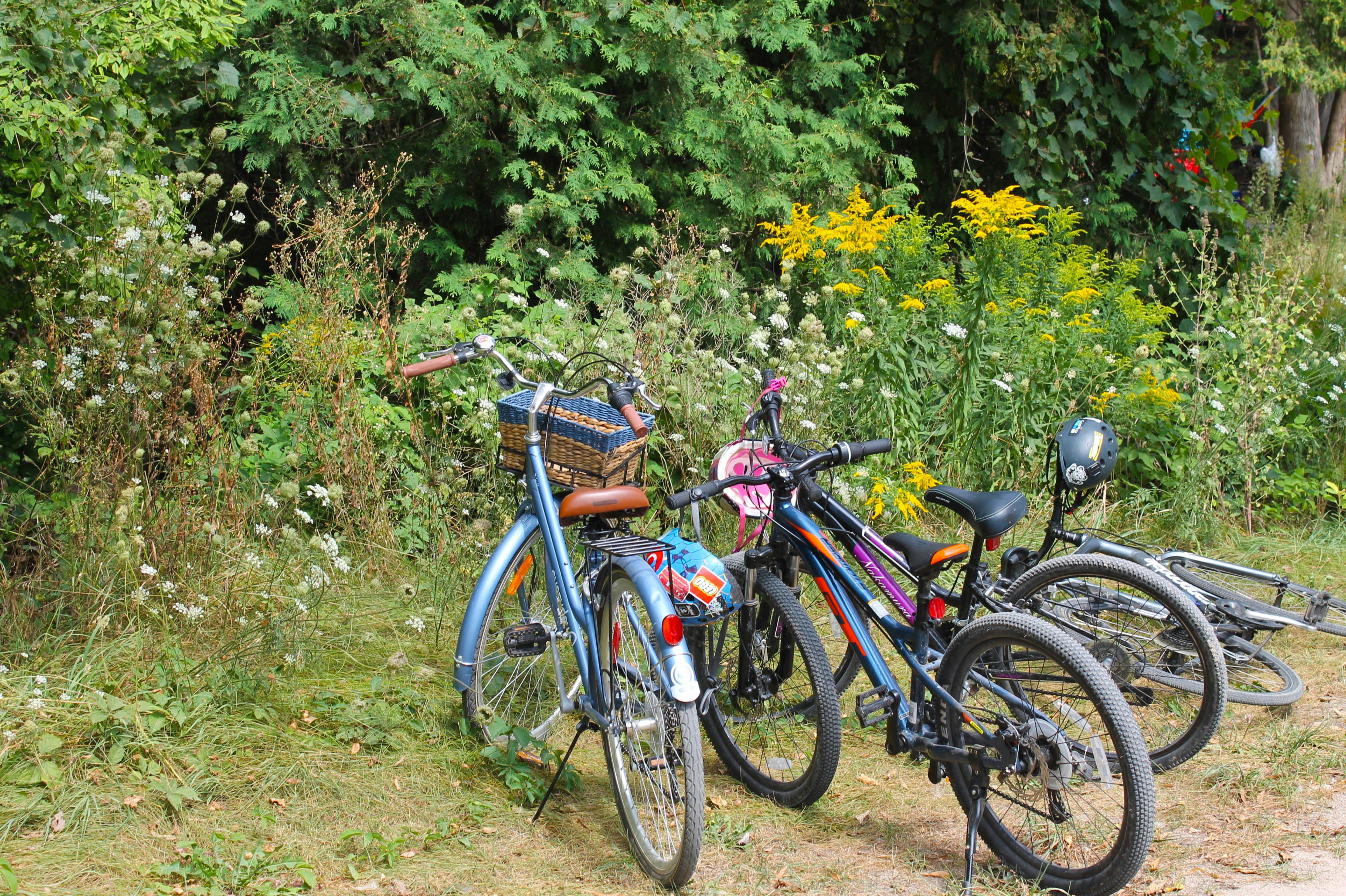 a couple of bikes parked next to each other