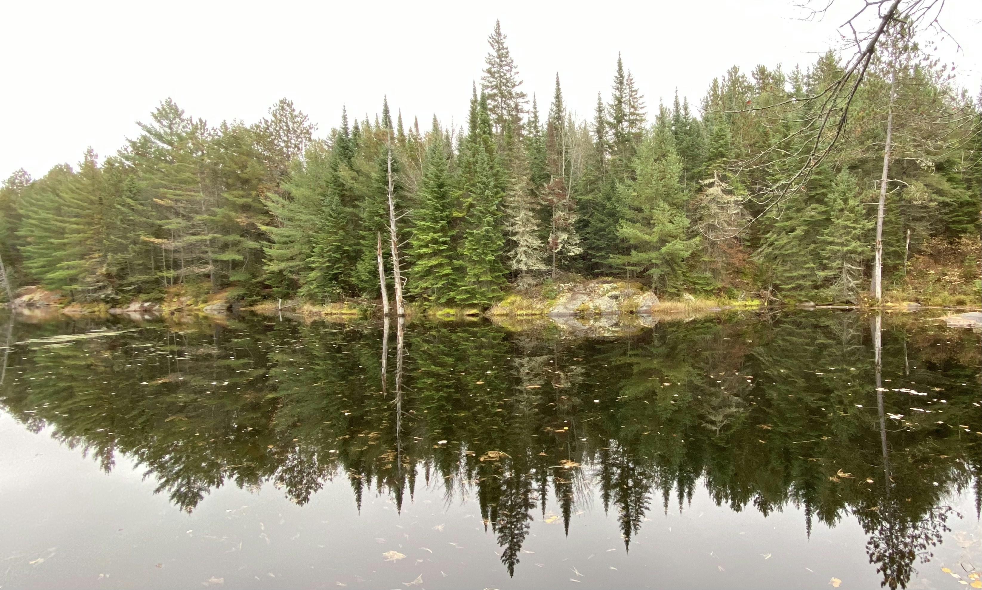 Photo by jaimedantas