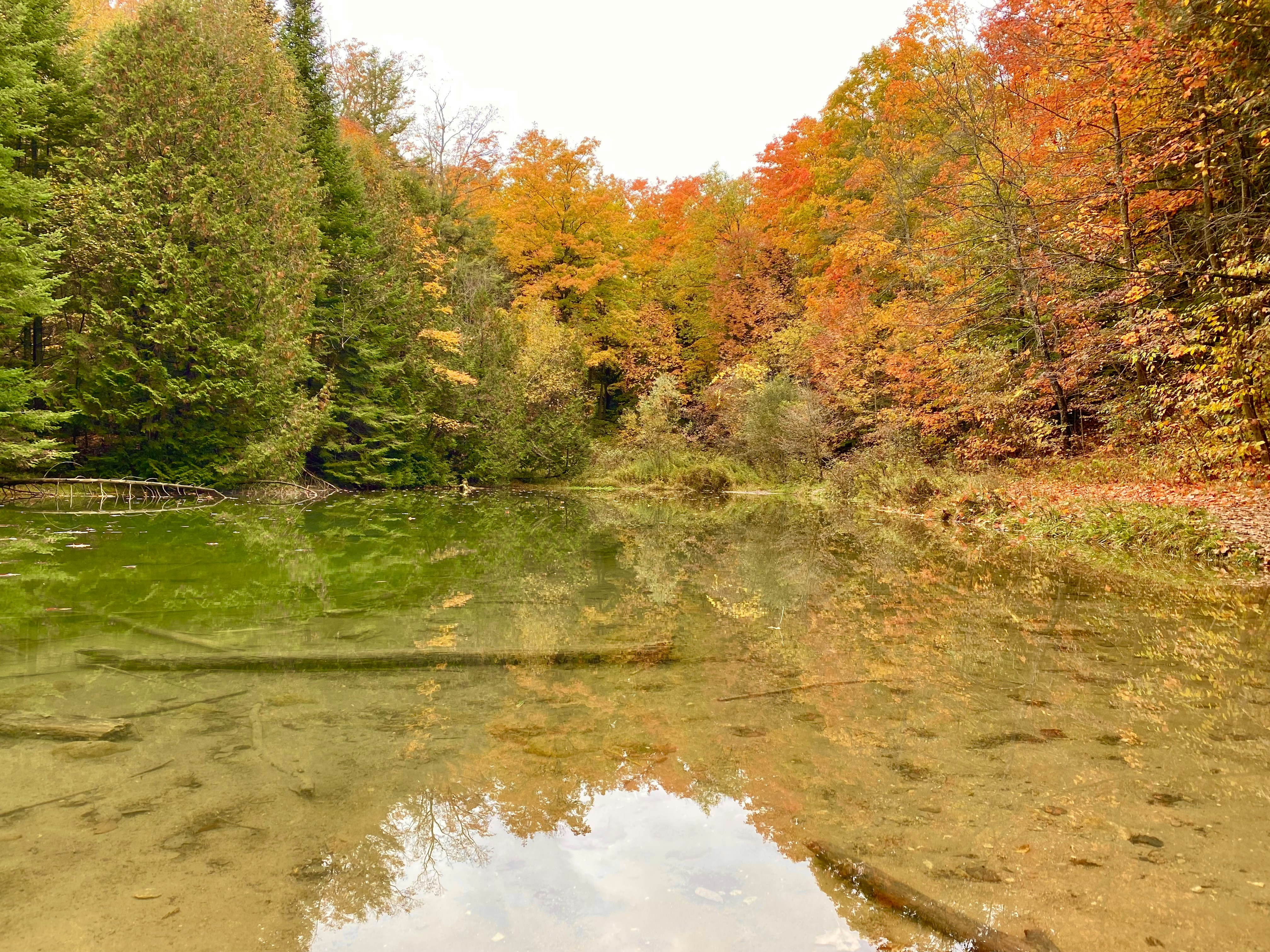 Photo by jaimedantas