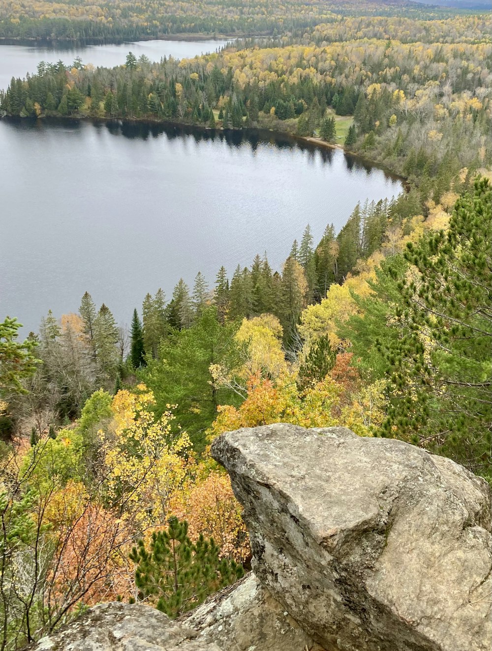 a view of a lake surrounded by trees