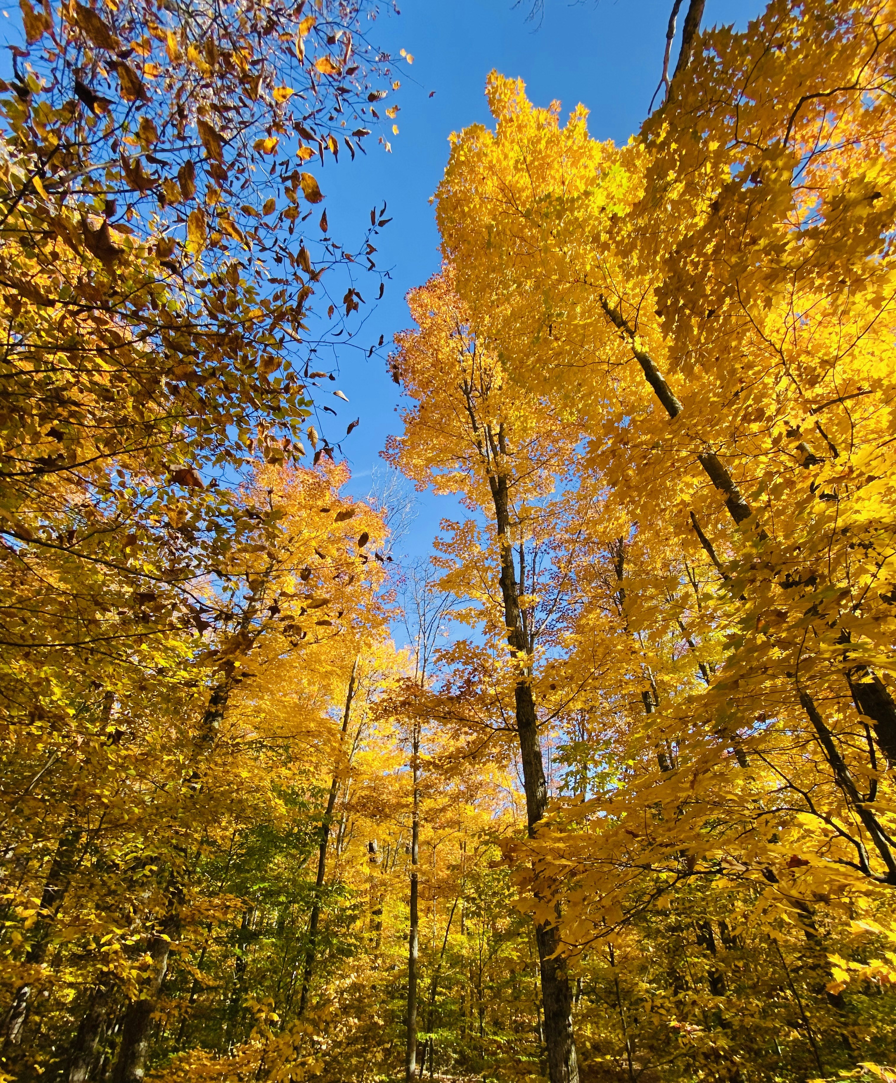 Photo by jaimedantas