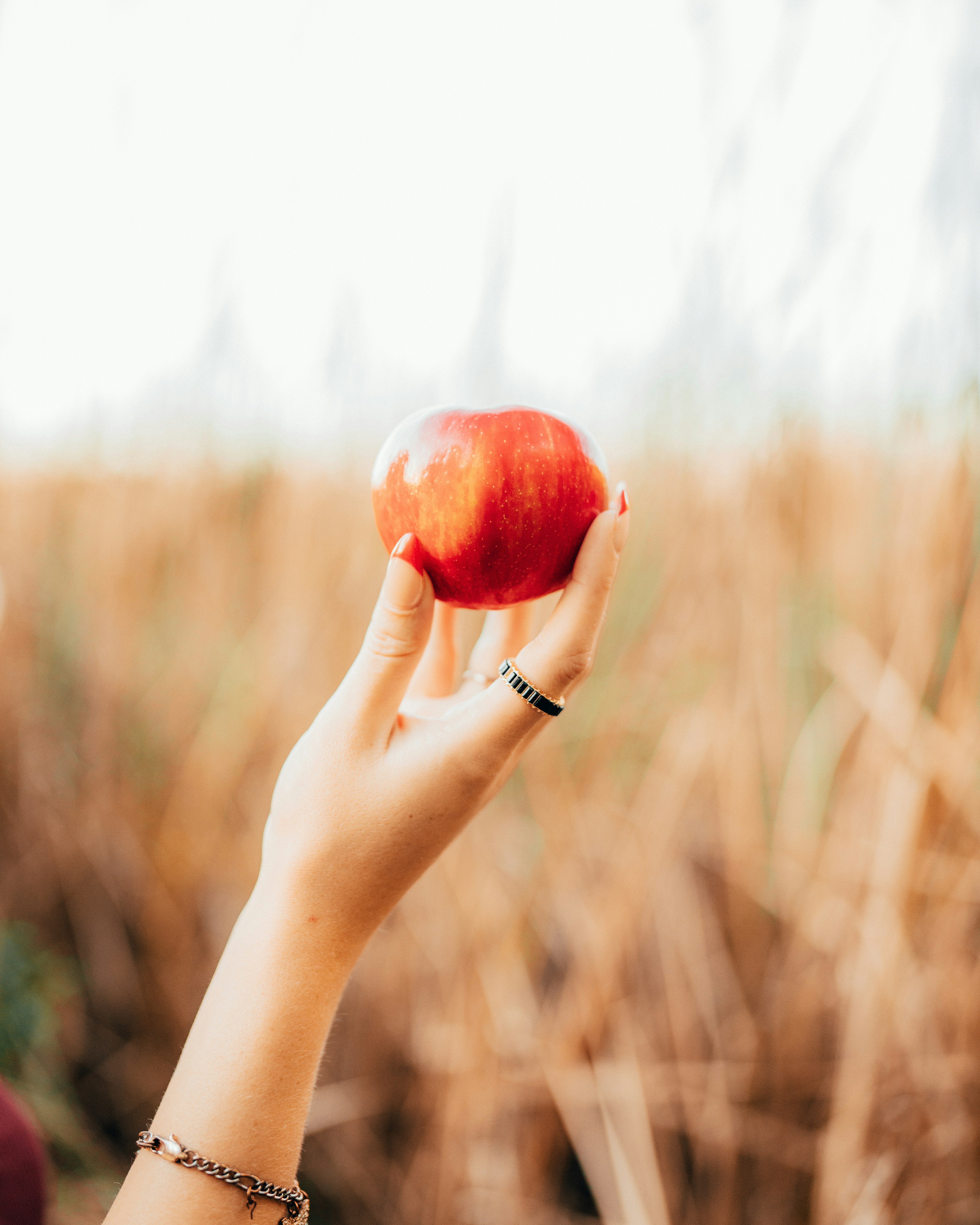 Photo by isthatbrock