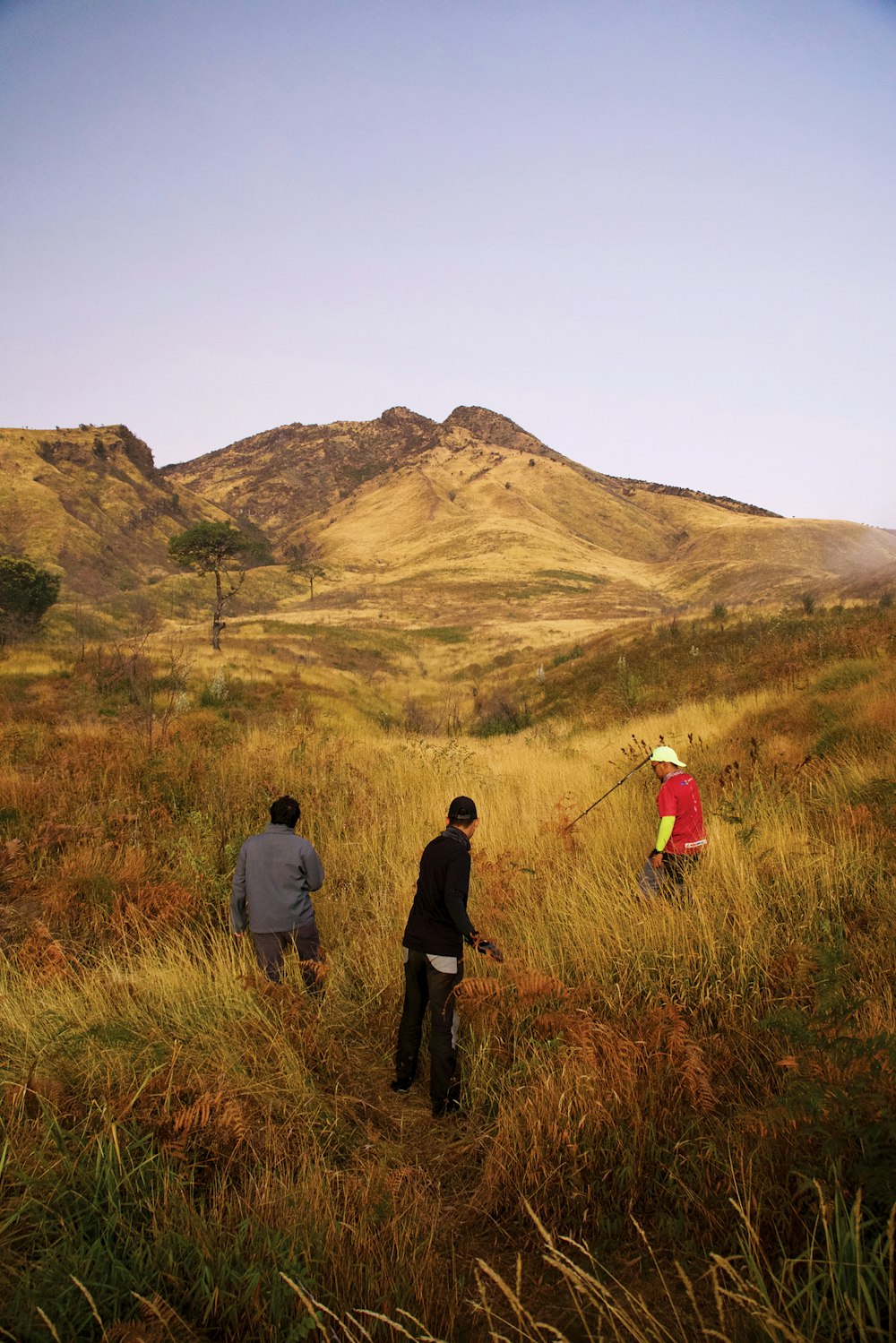 Un gruppo di persone in piedi sulla cima di una collina verde lussureggiante