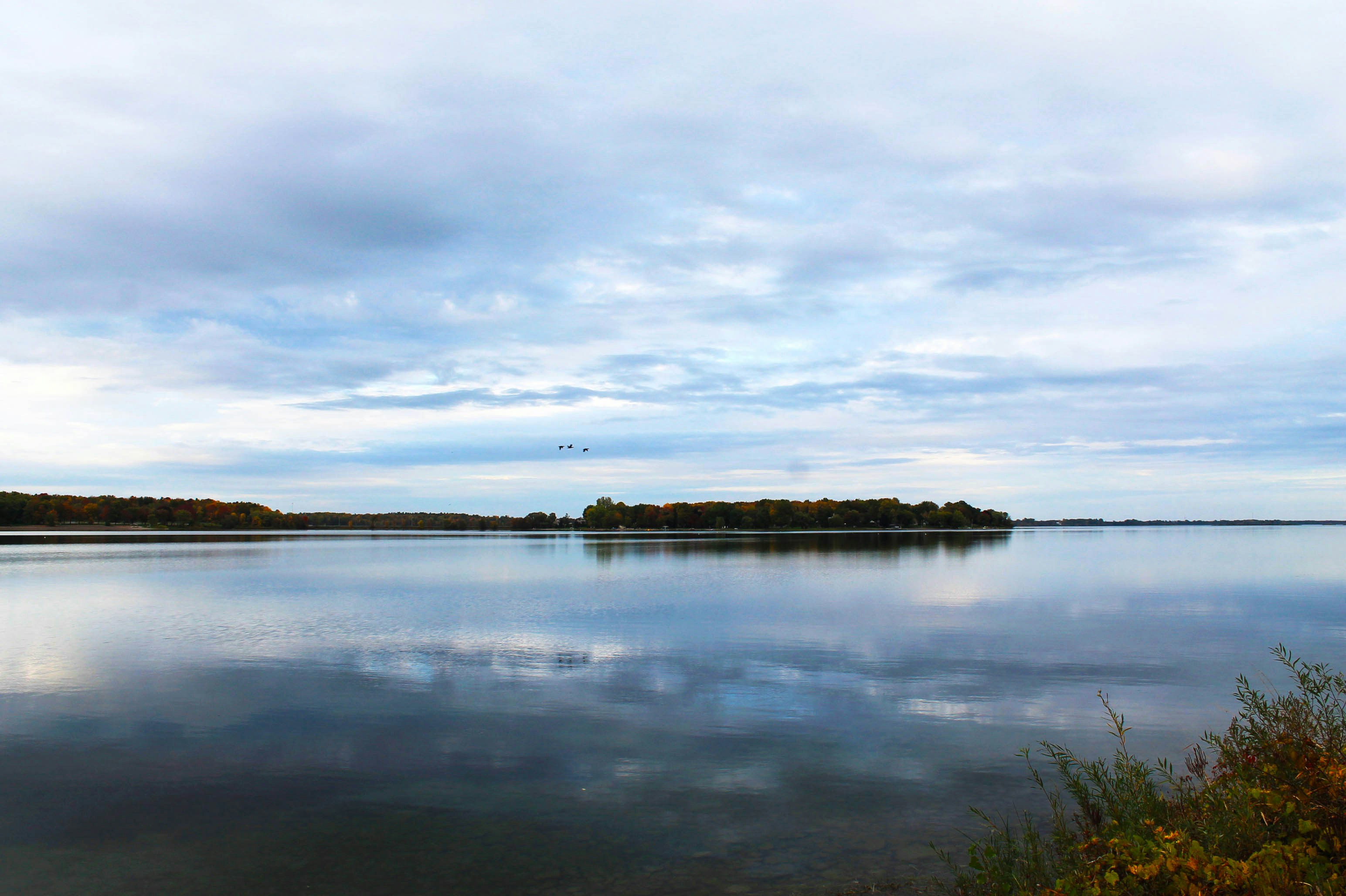 Photo by smohammad77