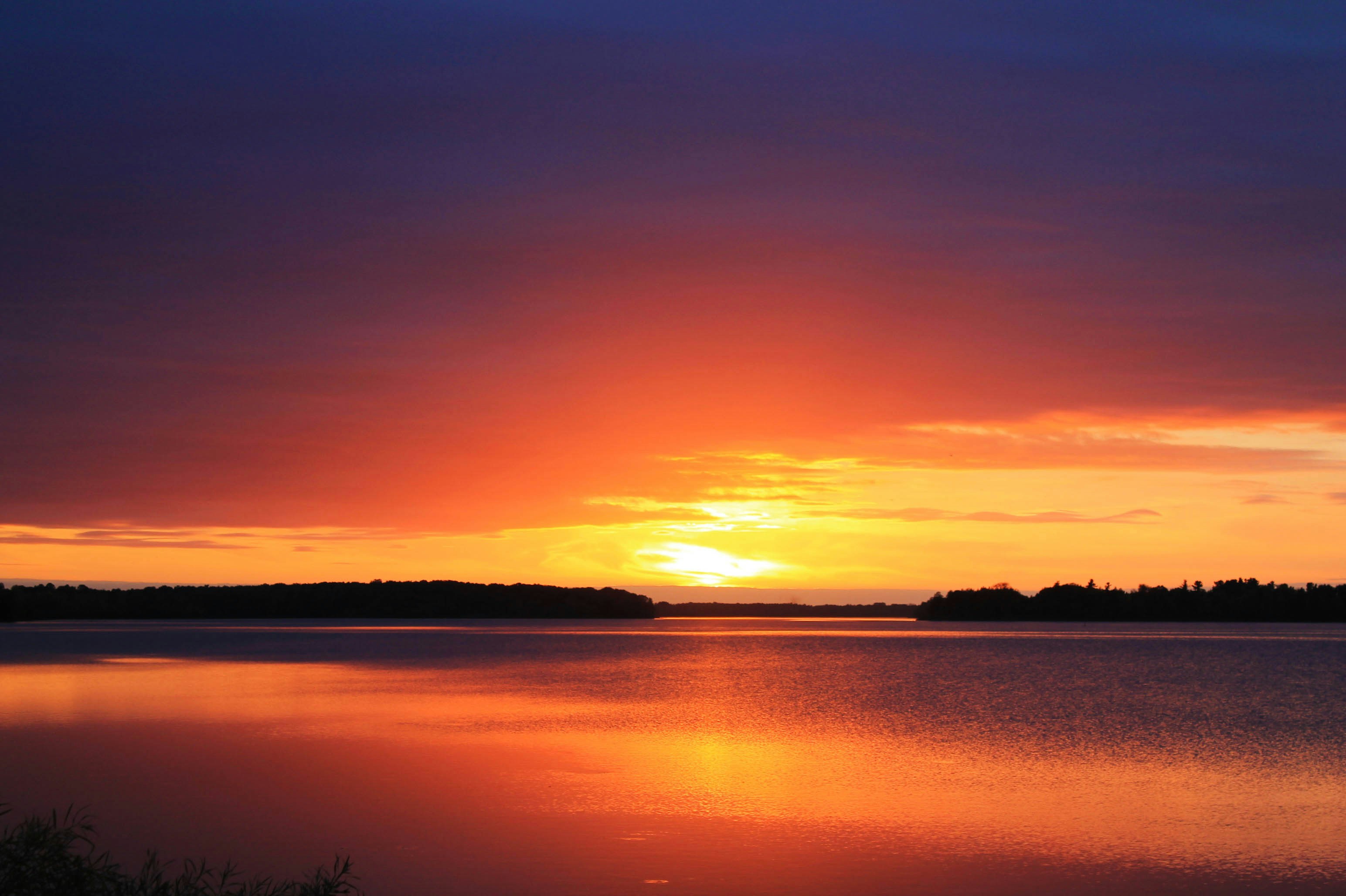 Photo by smohammad77