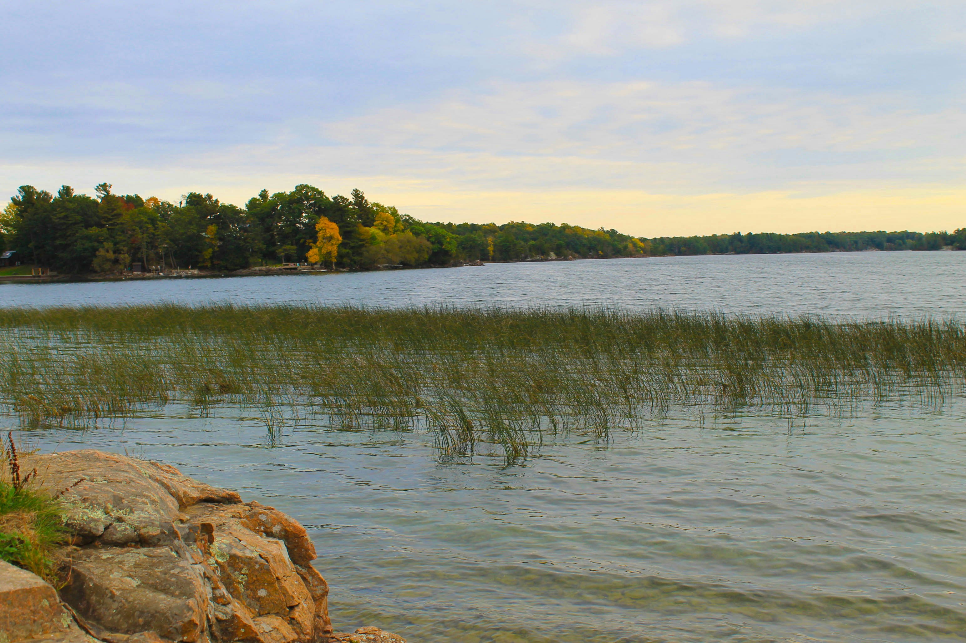 Photo by smohammad77