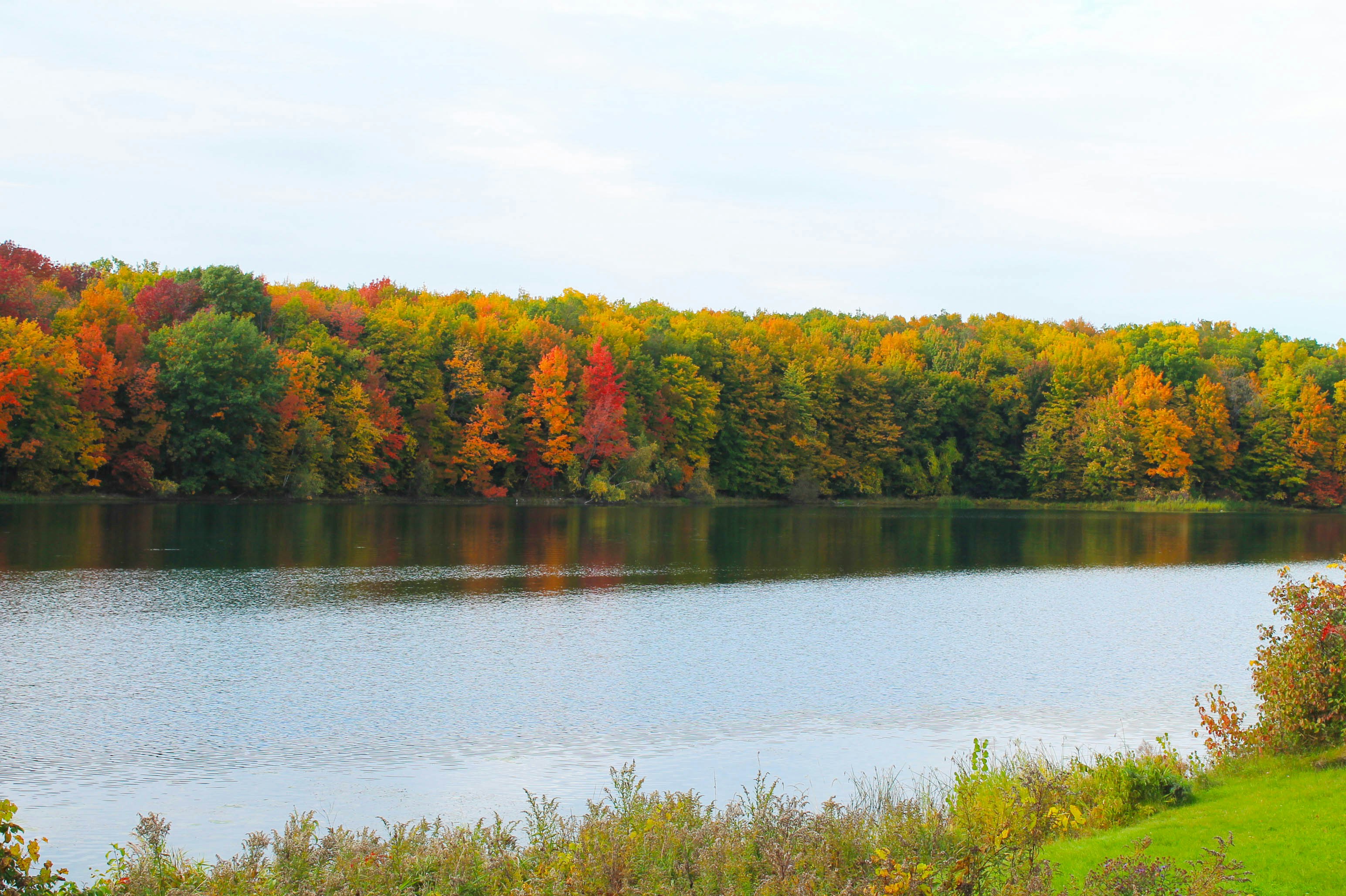 Photo by smohammad77