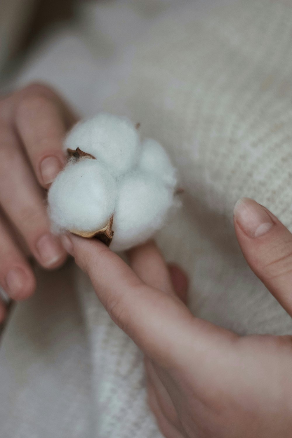 a person holding a cotton ball in their hands