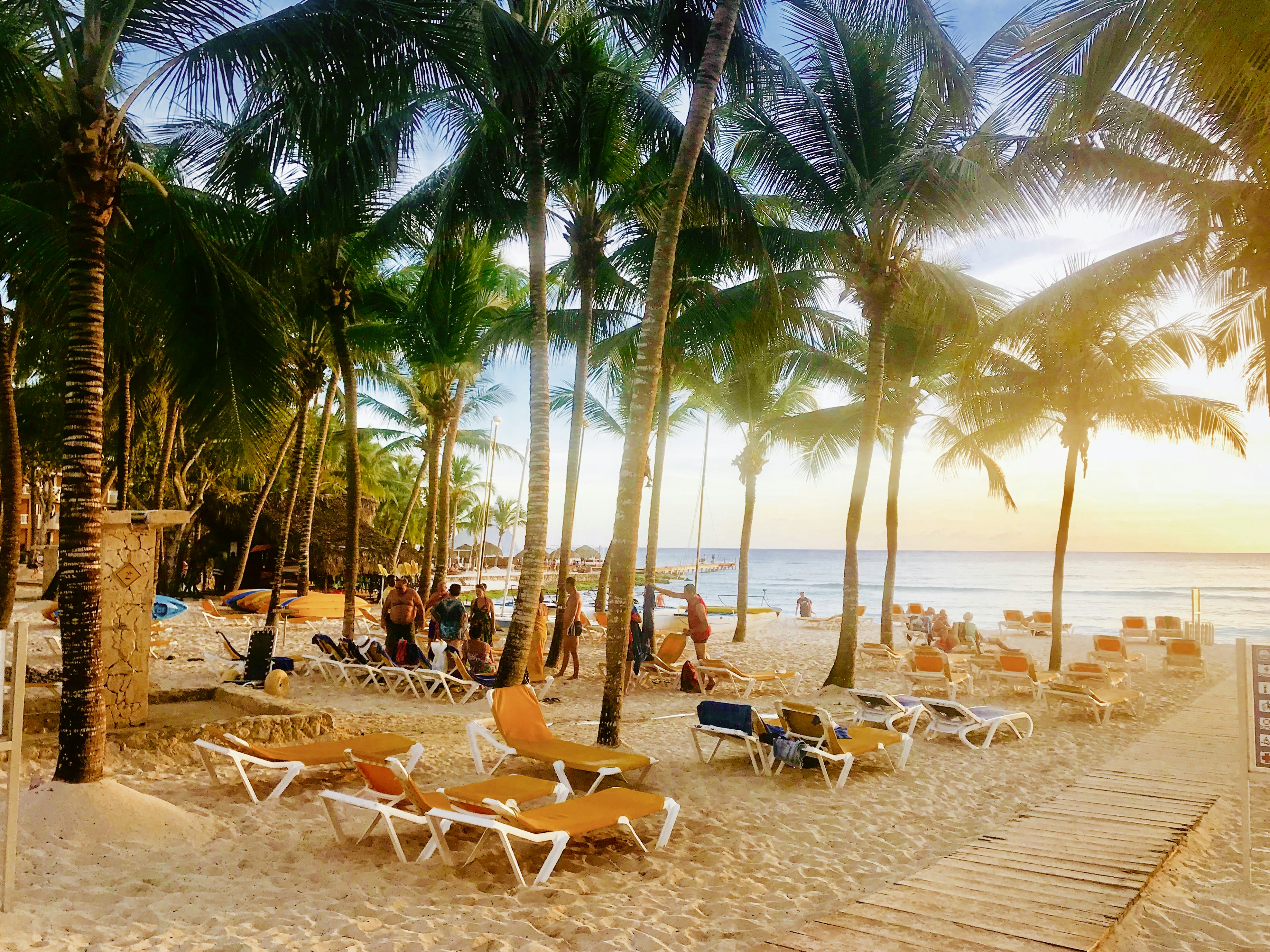 a sandy beach with lounge chairs and palm trees