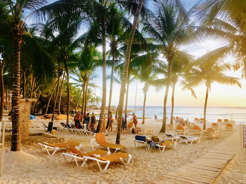 a sandy beach with lounge chairs and palm trees