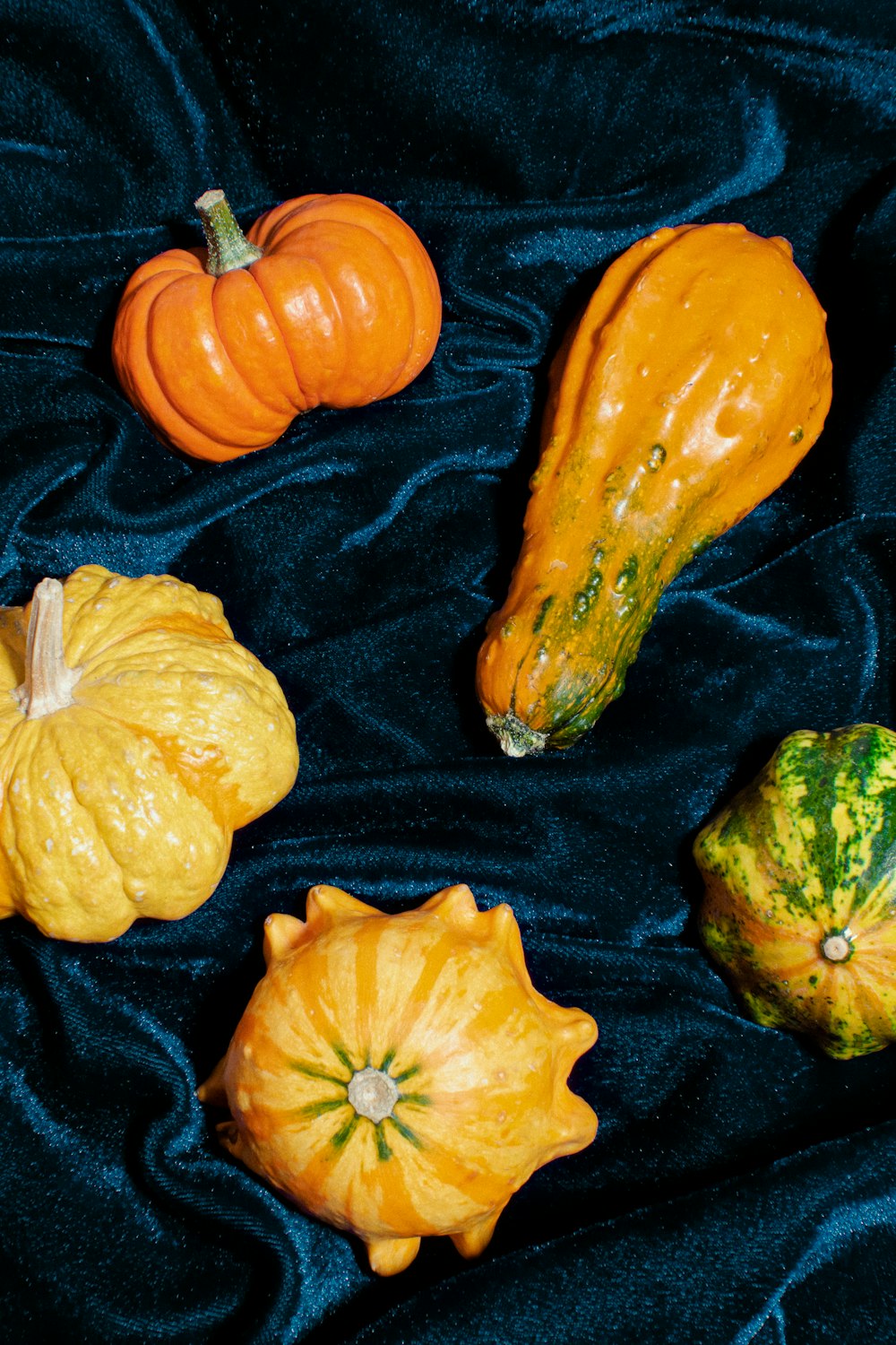 a group of pumpkins sitting on top of a blue cloth