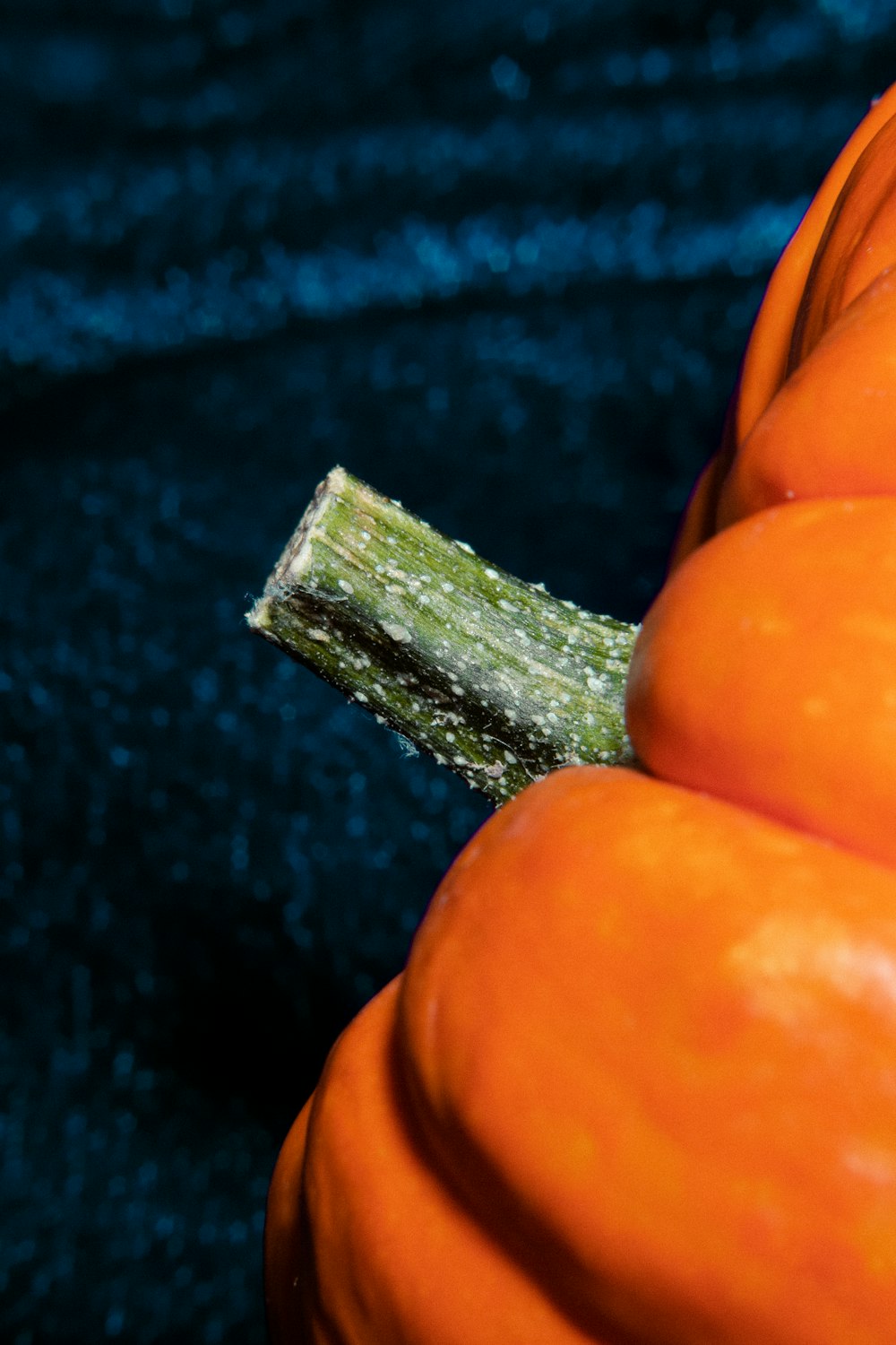 a close up of a small piece of fruit