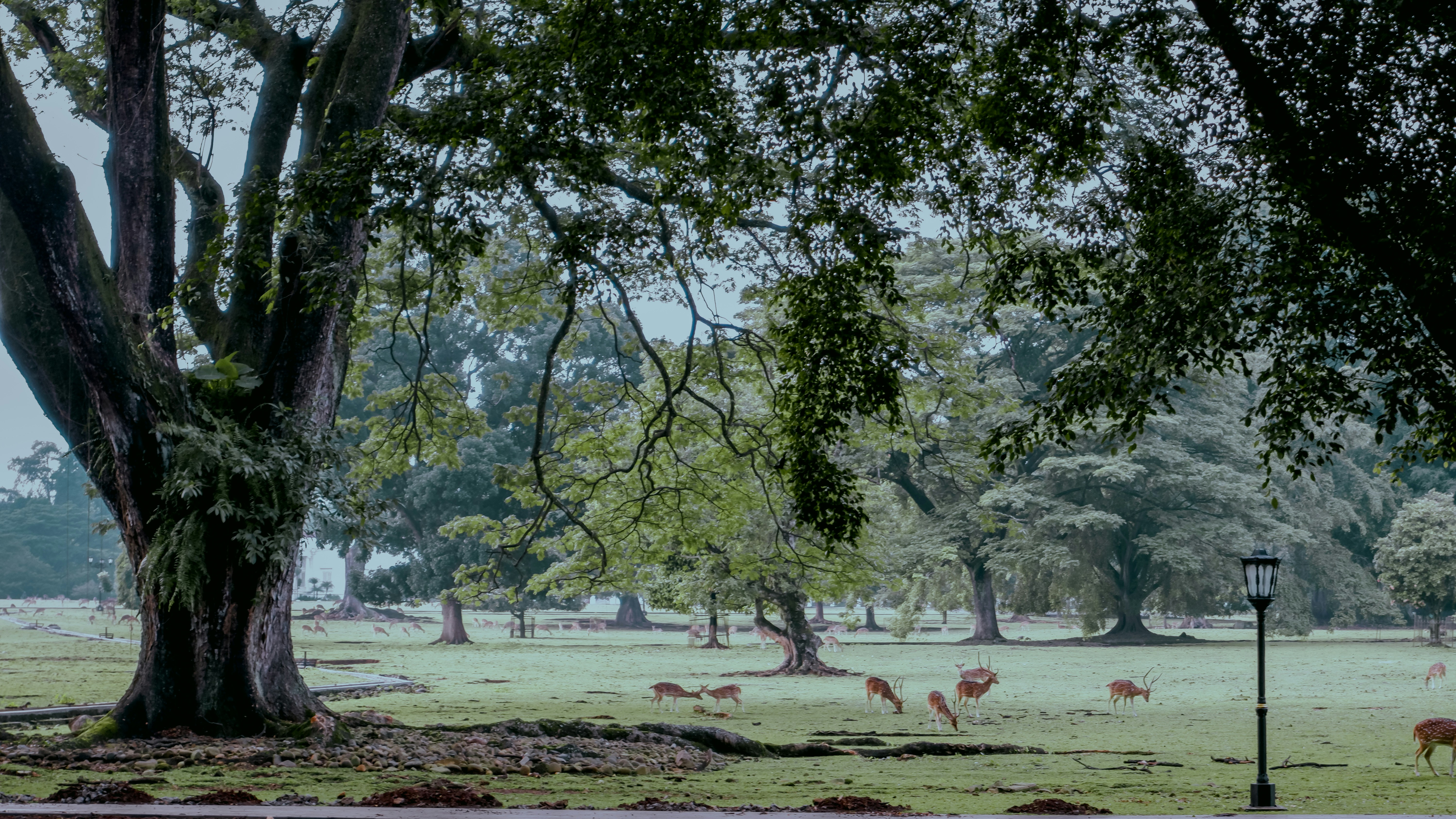 Photo by darkroomspace