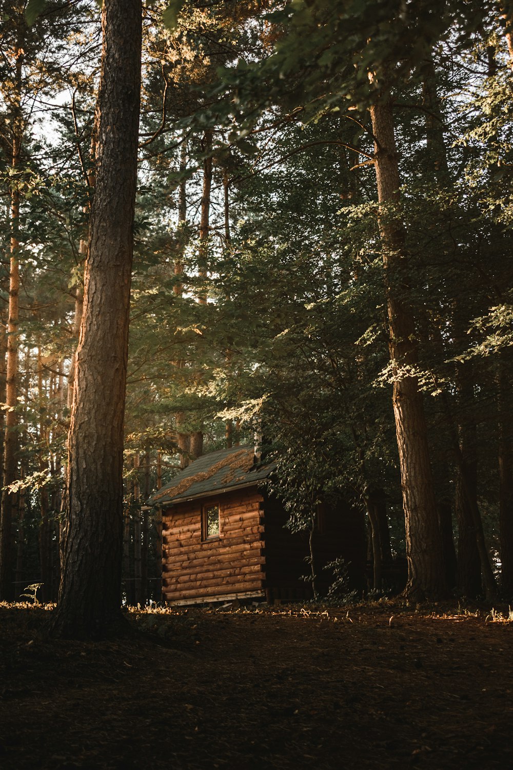 a small log cabin in the middle of a forest