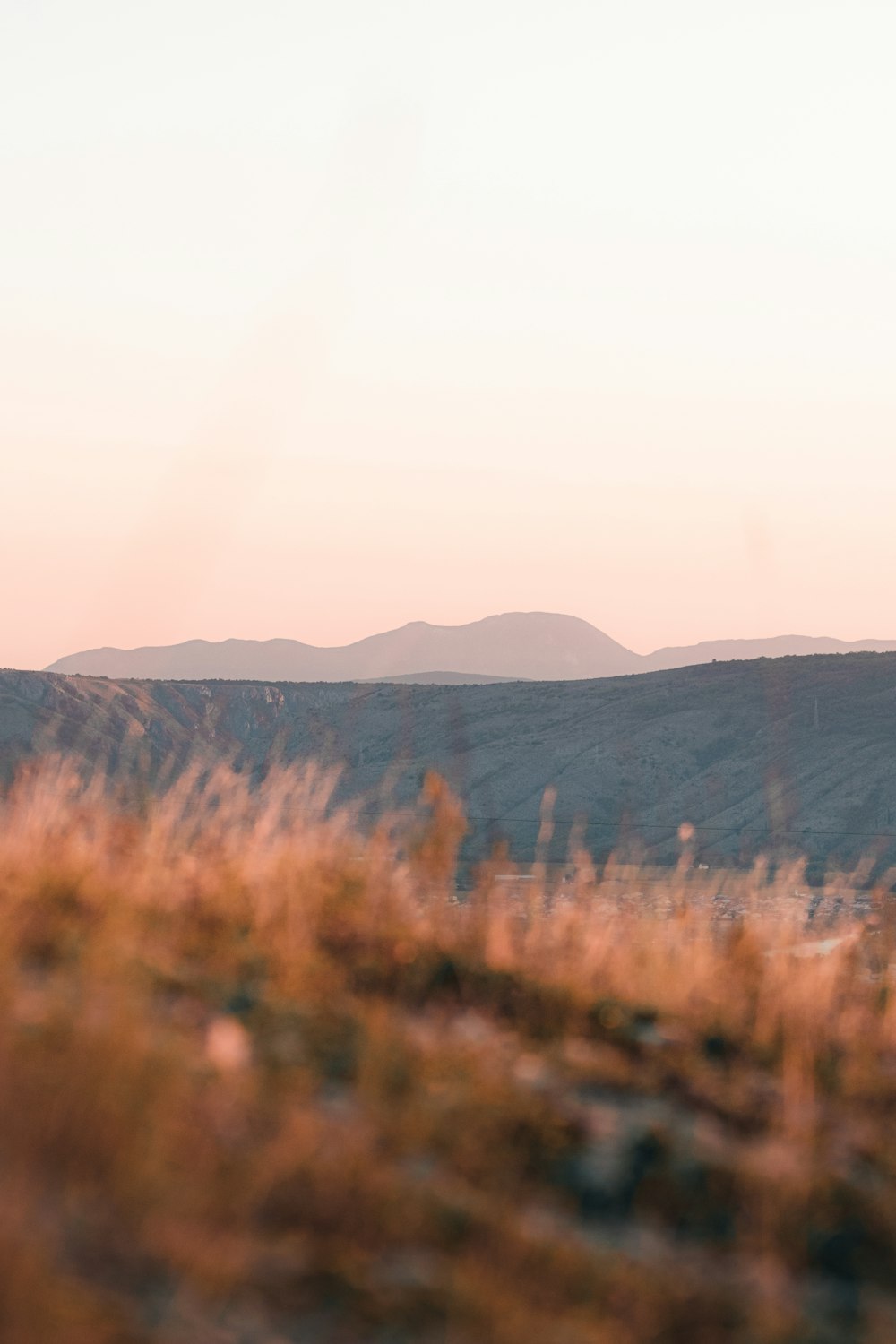 a lone giraffe standing in a field with mountains in the background