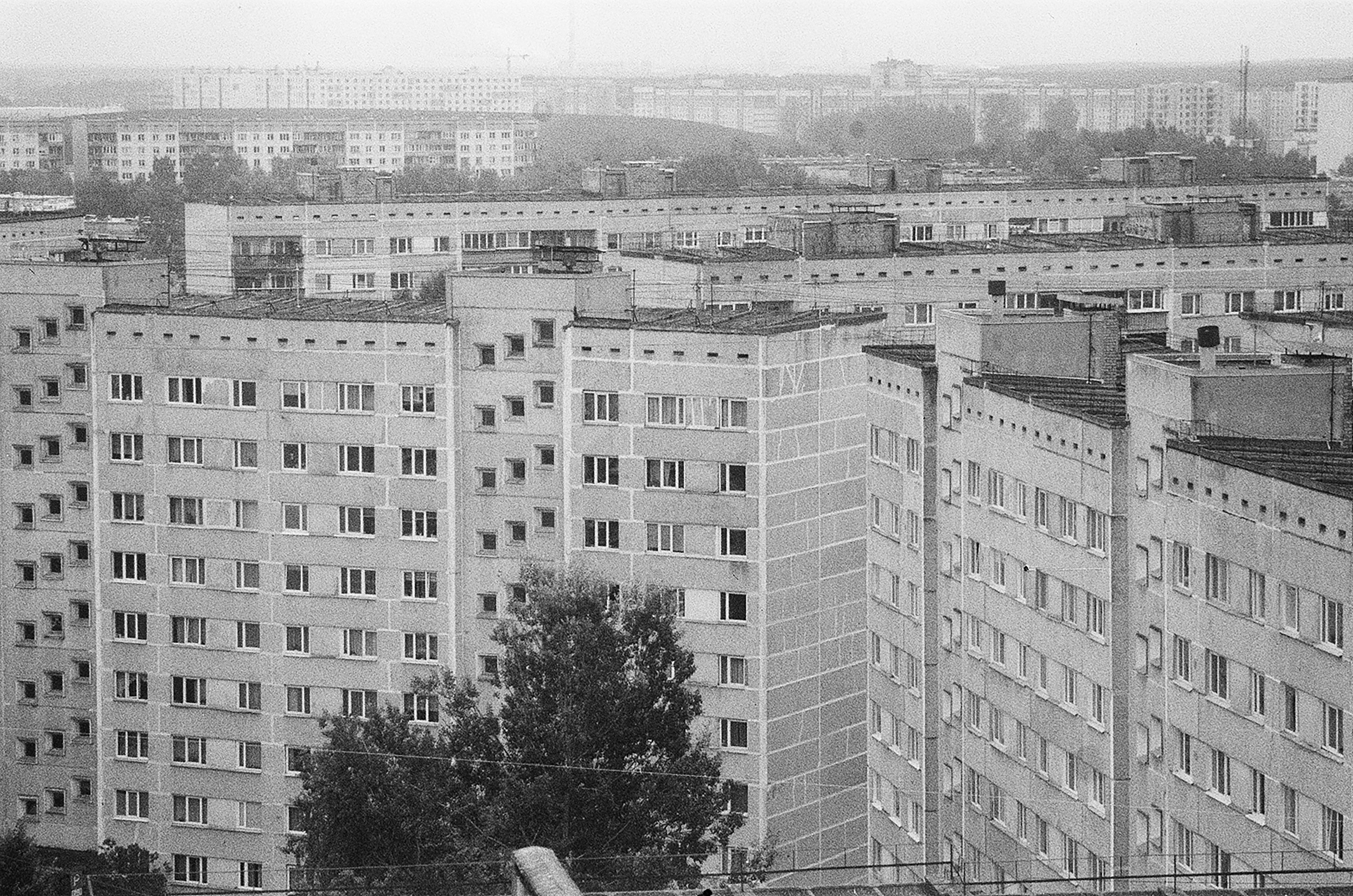 Photo by kasparseglitis