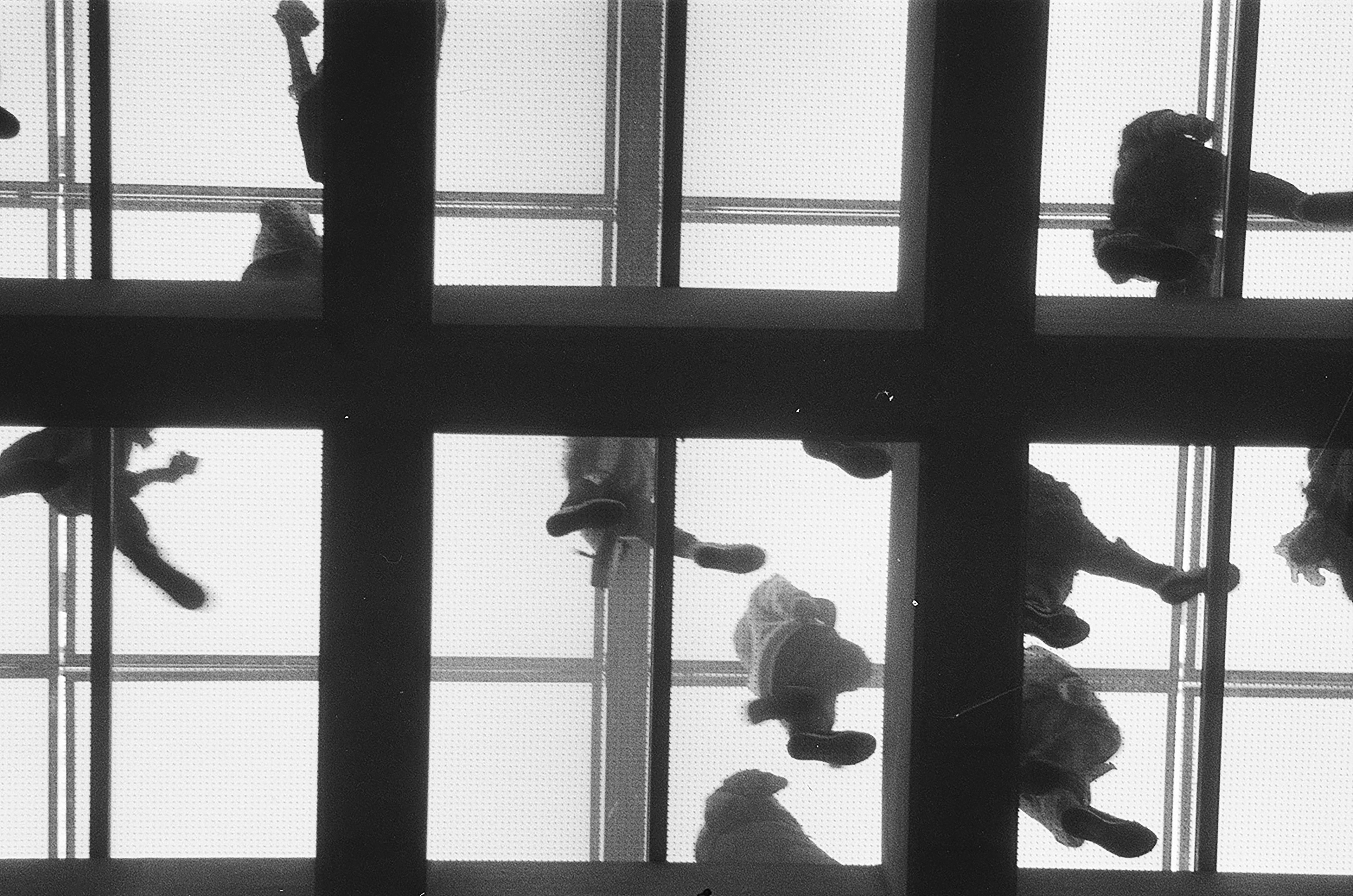 Photo by kasparseglitis