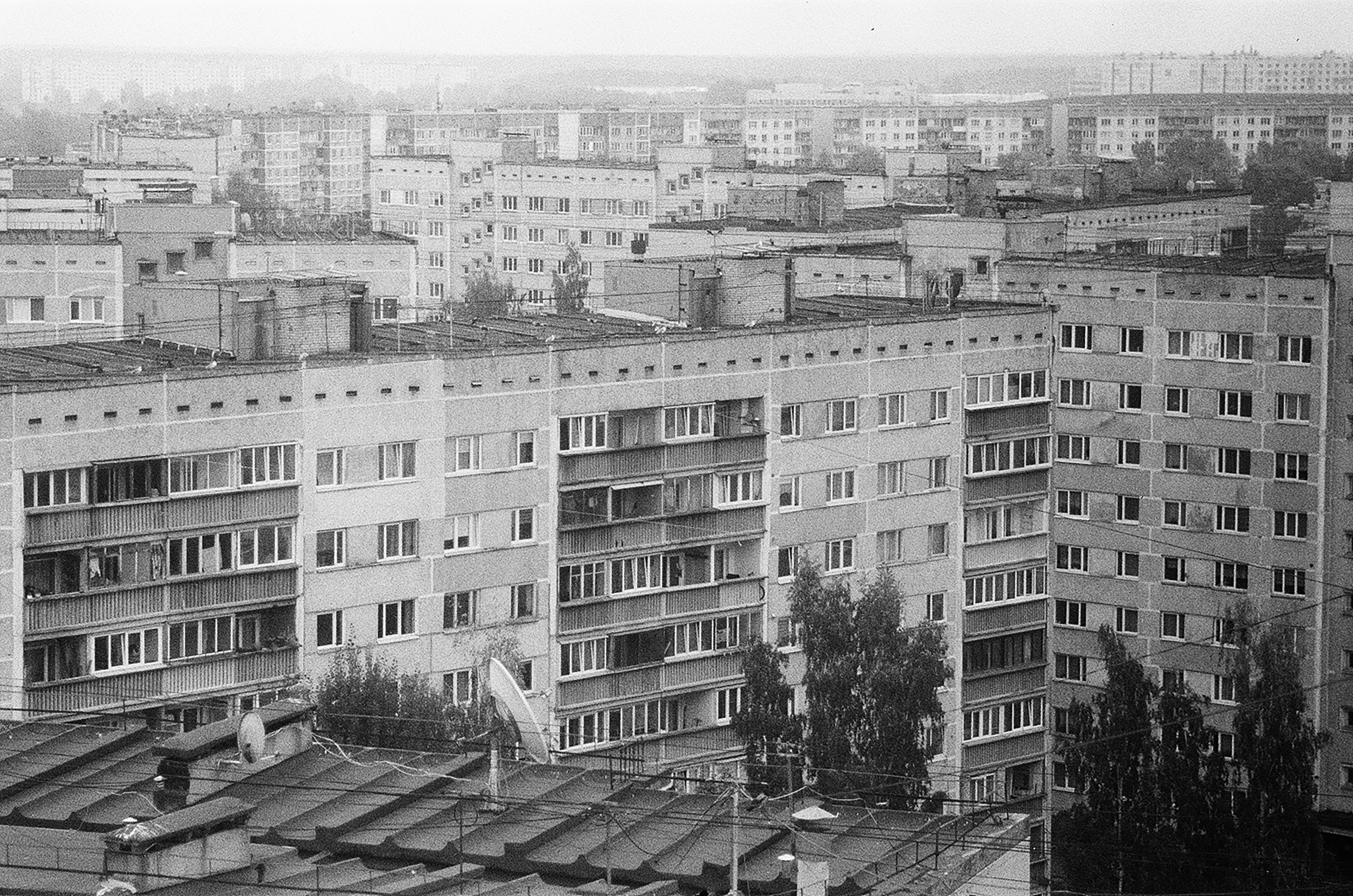 Photo by kasparseglitis