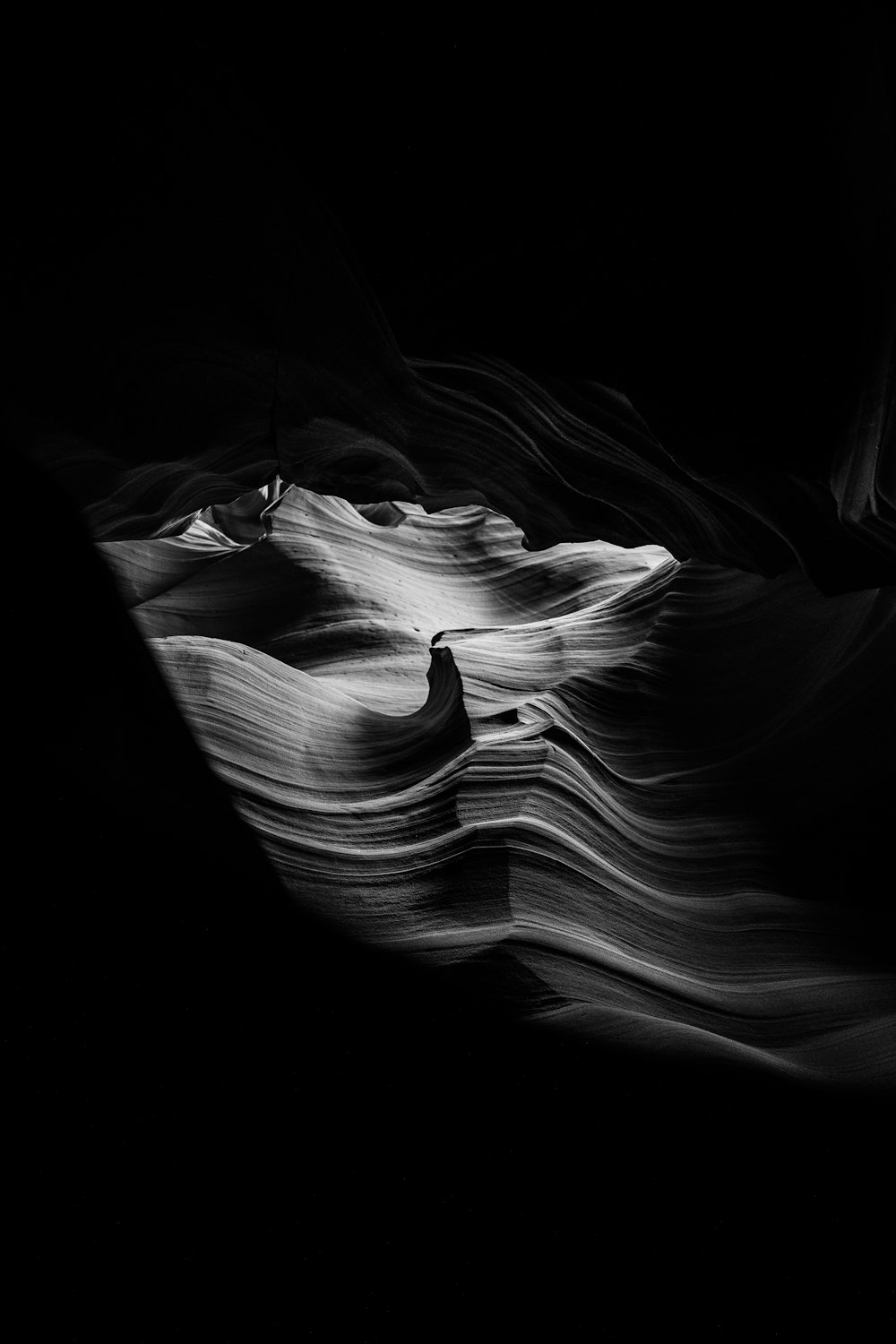 a black and white photo of a bird in a cave
