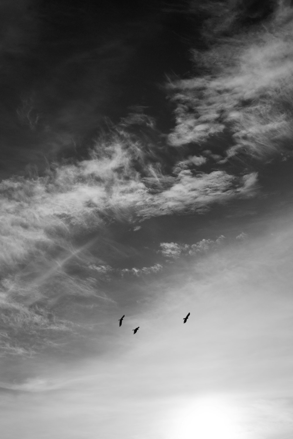 a couple of birds flying through a cloudy sky