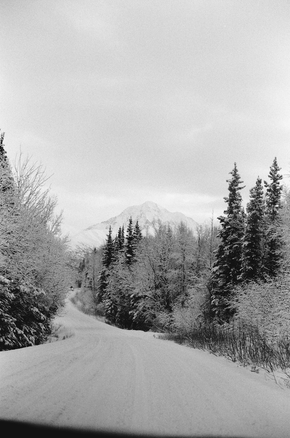 a snow covered road with trees and a mountain in the background