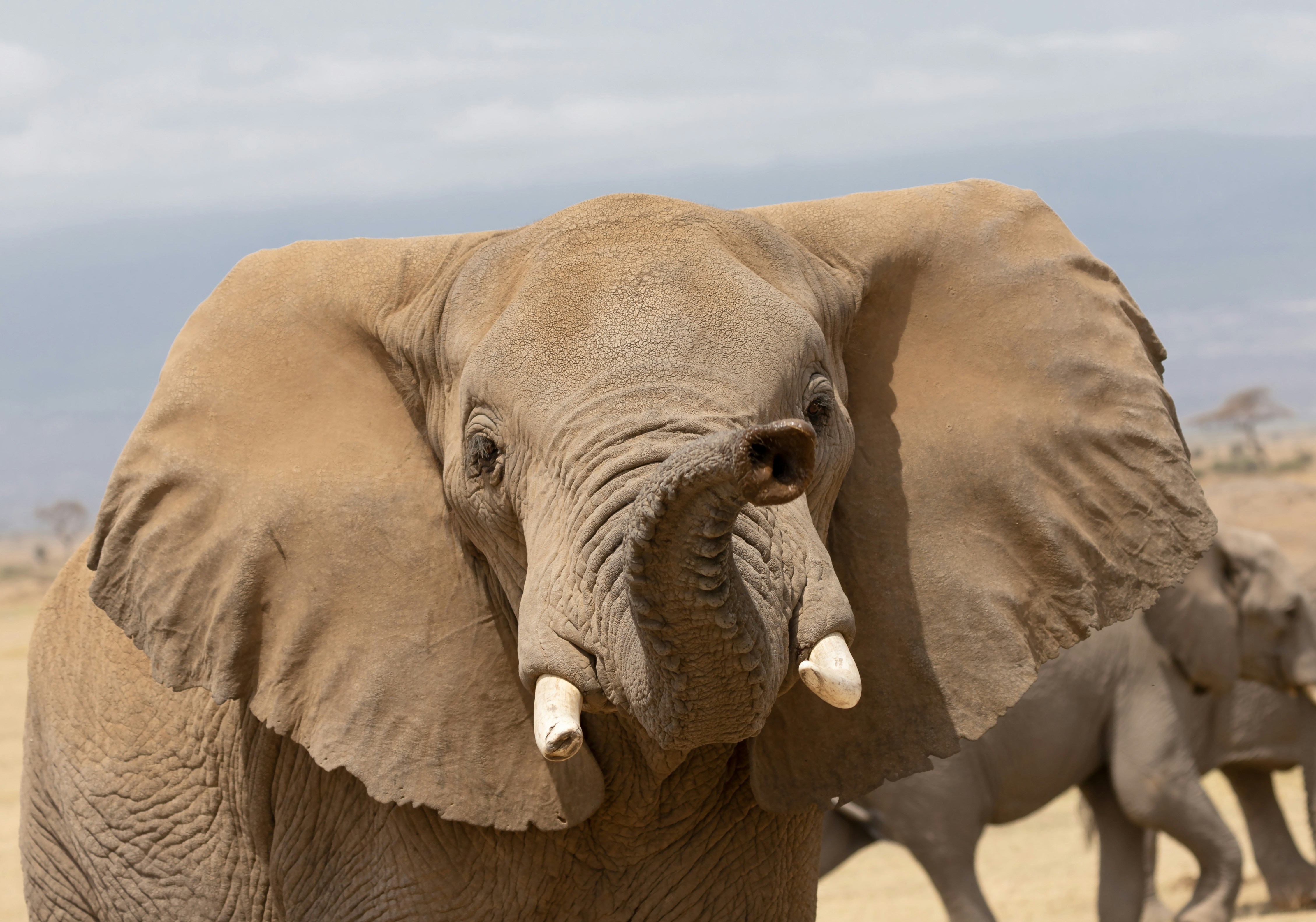 Update docker.io/postgres Docker tag to v15.9