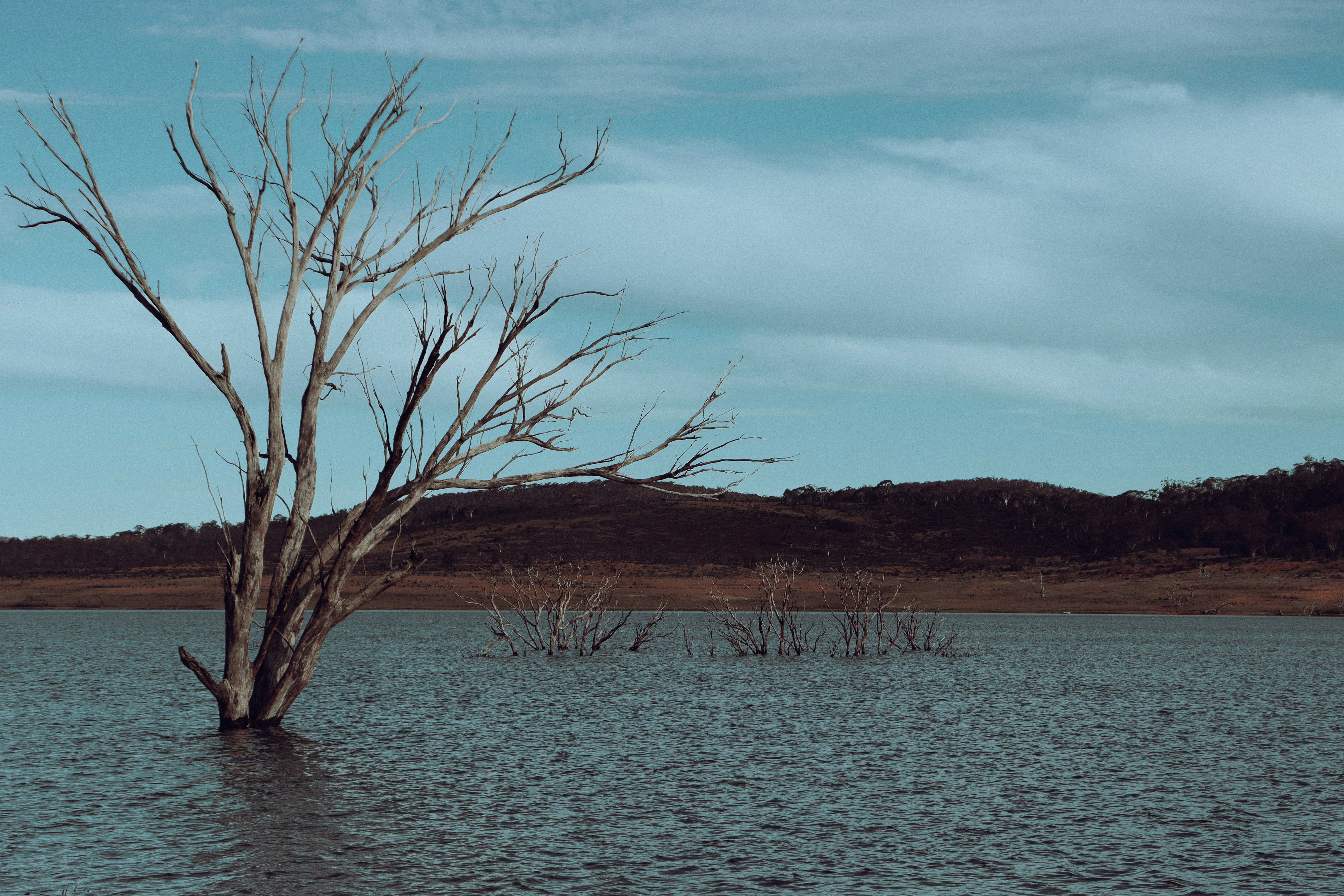 Photo by laraashmilton