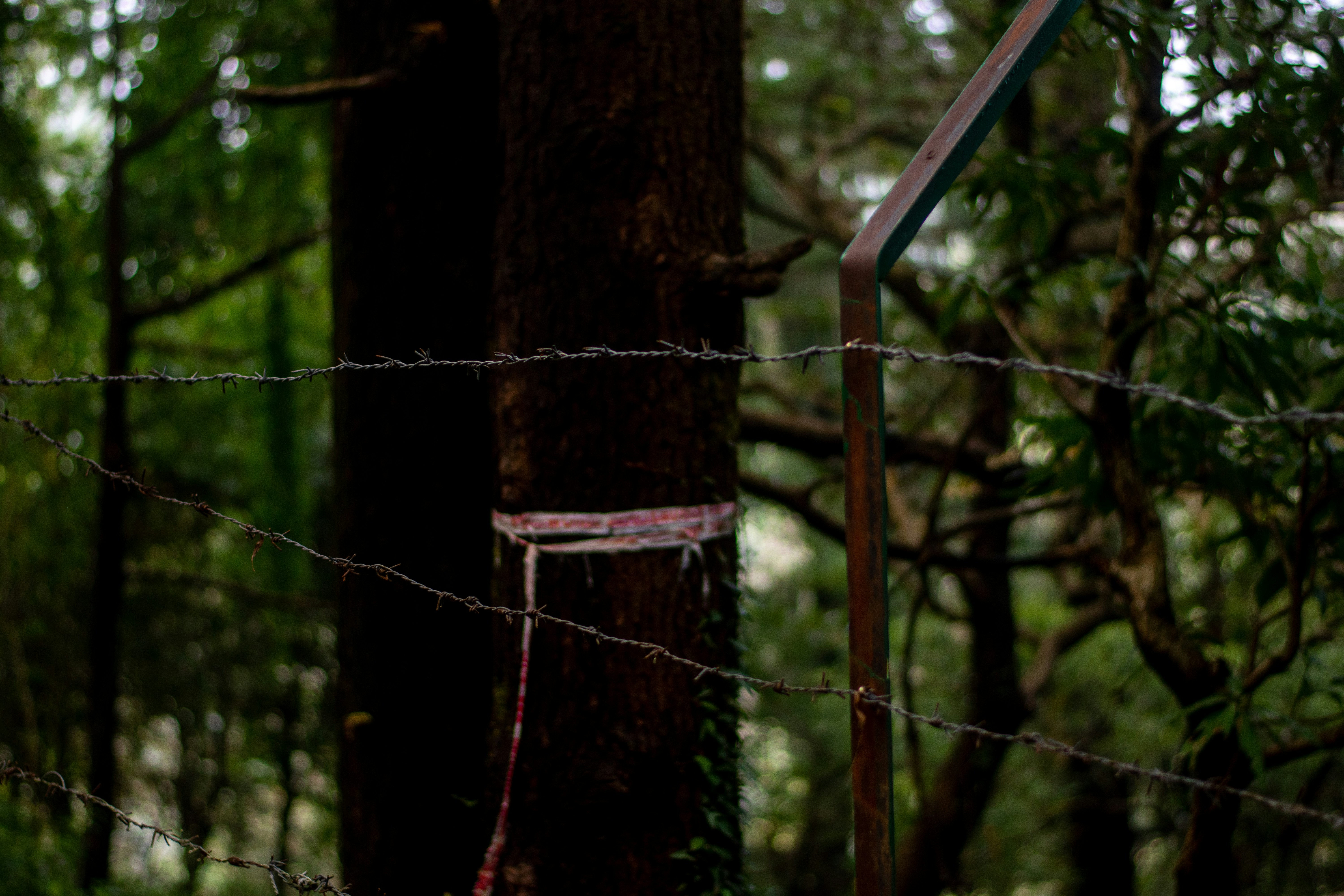 a sign on a wire fence in the woods