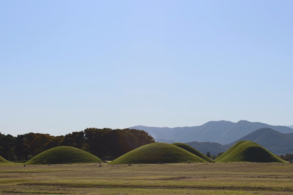 mounds of grass in a field with mountains in the background