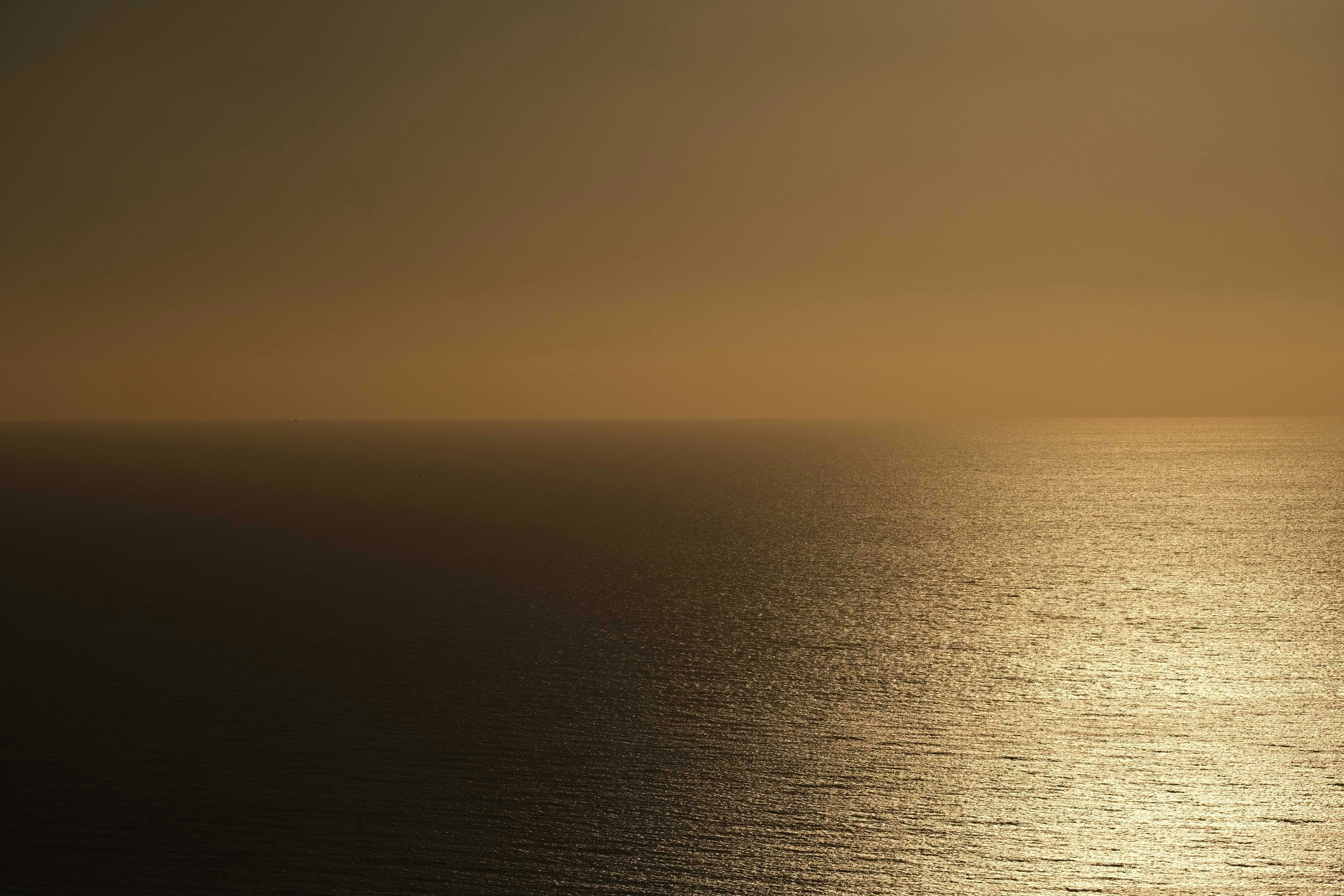 Photo by francesco_ungaro