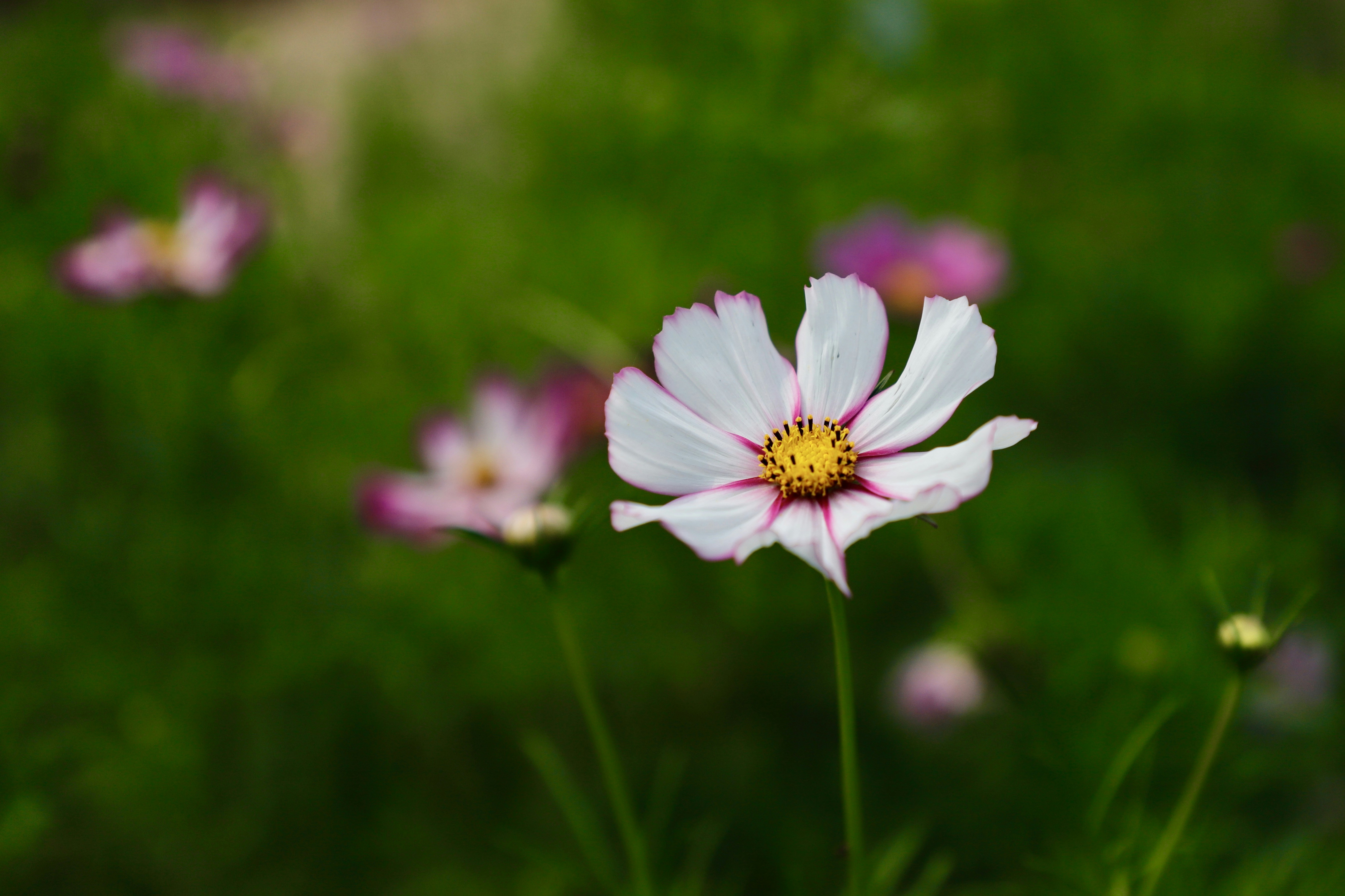 Photo by galaxyhunter