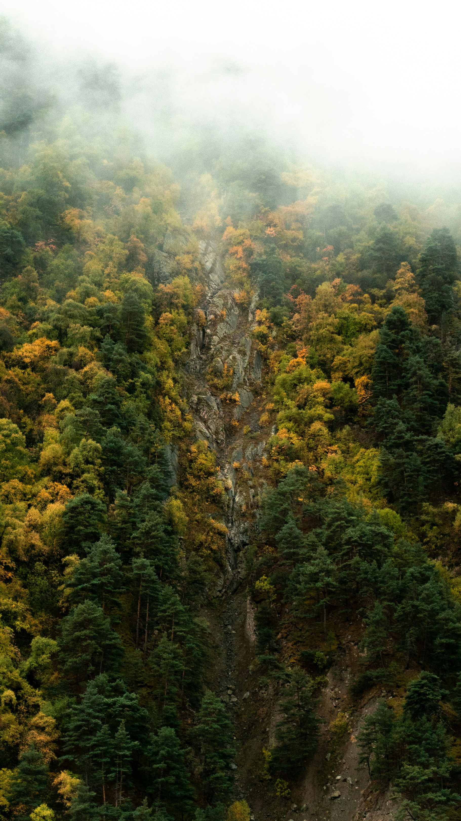 Photo by kirillpershin