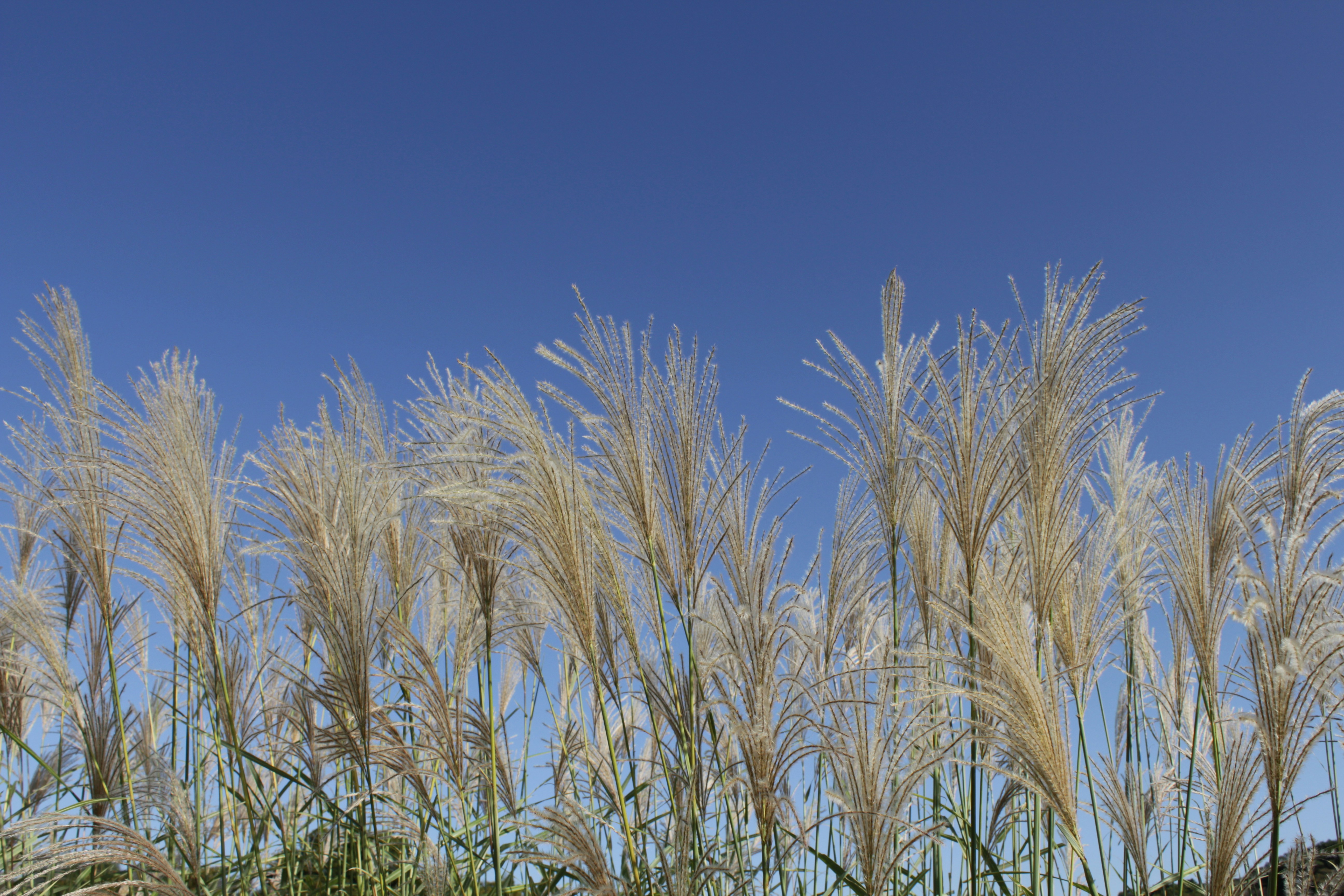 Photo by drewbae0505