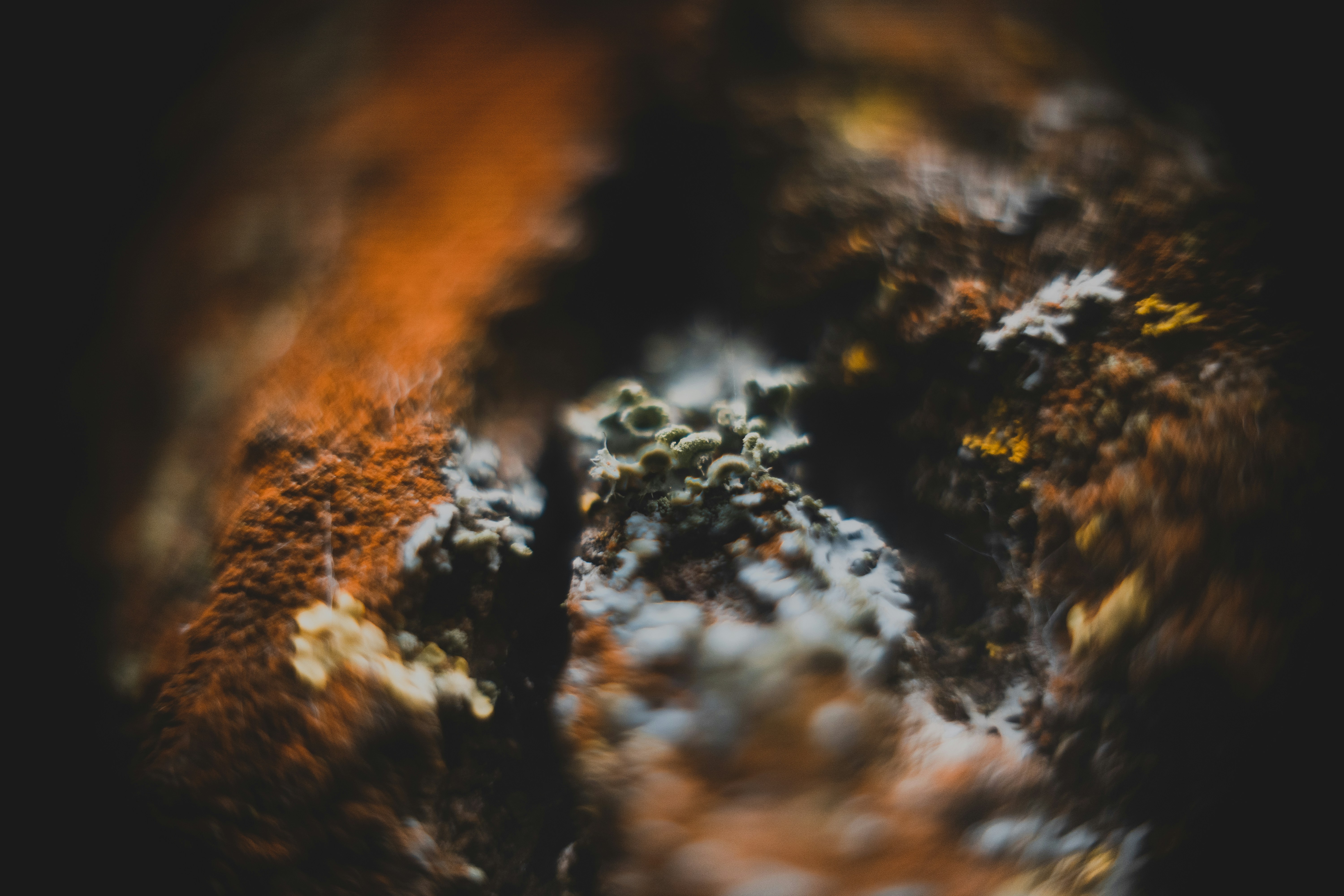 Photo by jakobustrop