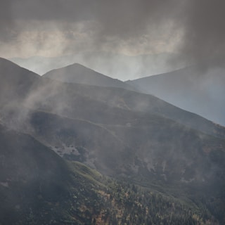 A misty morning in the Carpathian Mountains with dense forest and rolling hills.