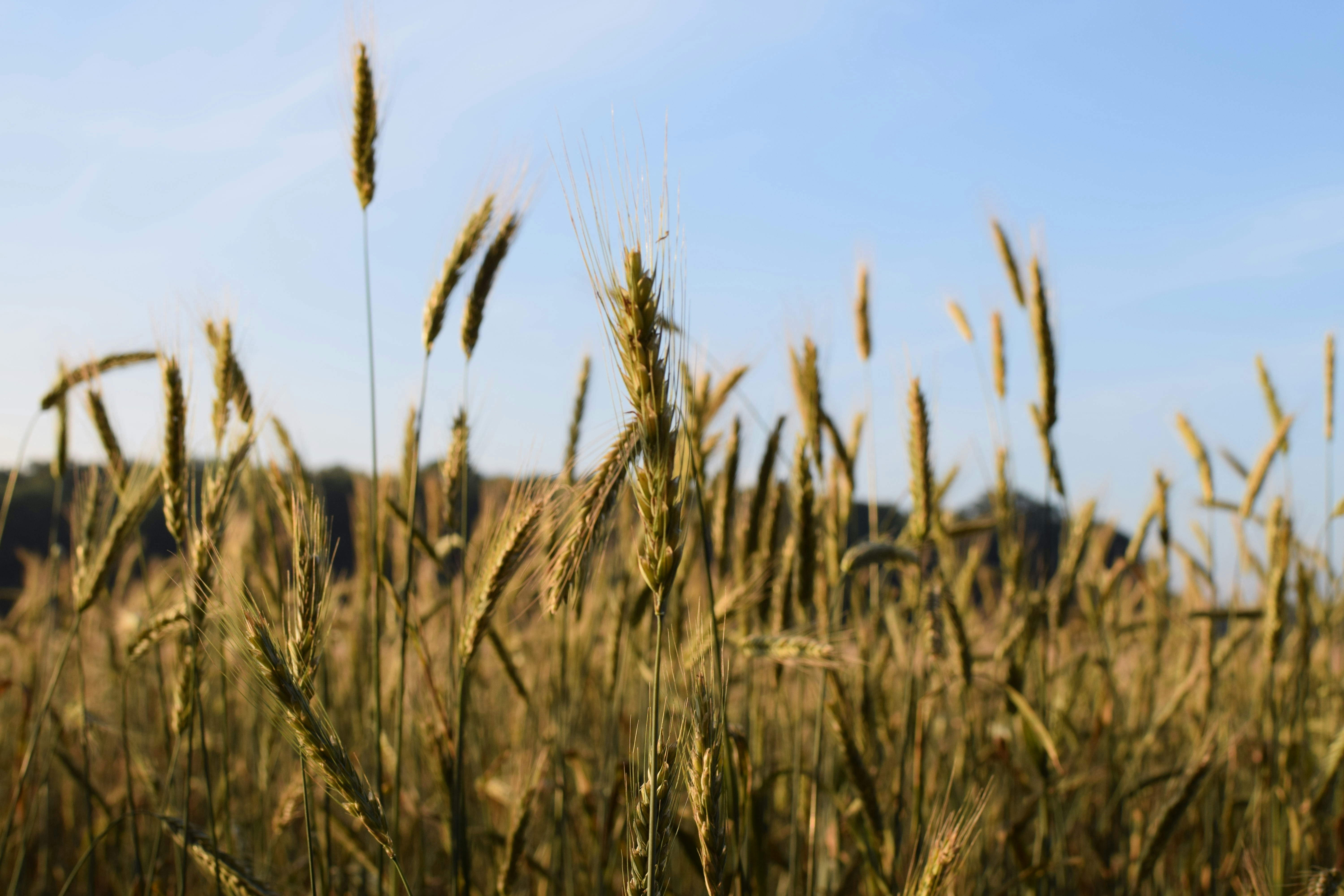 Photo by sumeyyebozkus