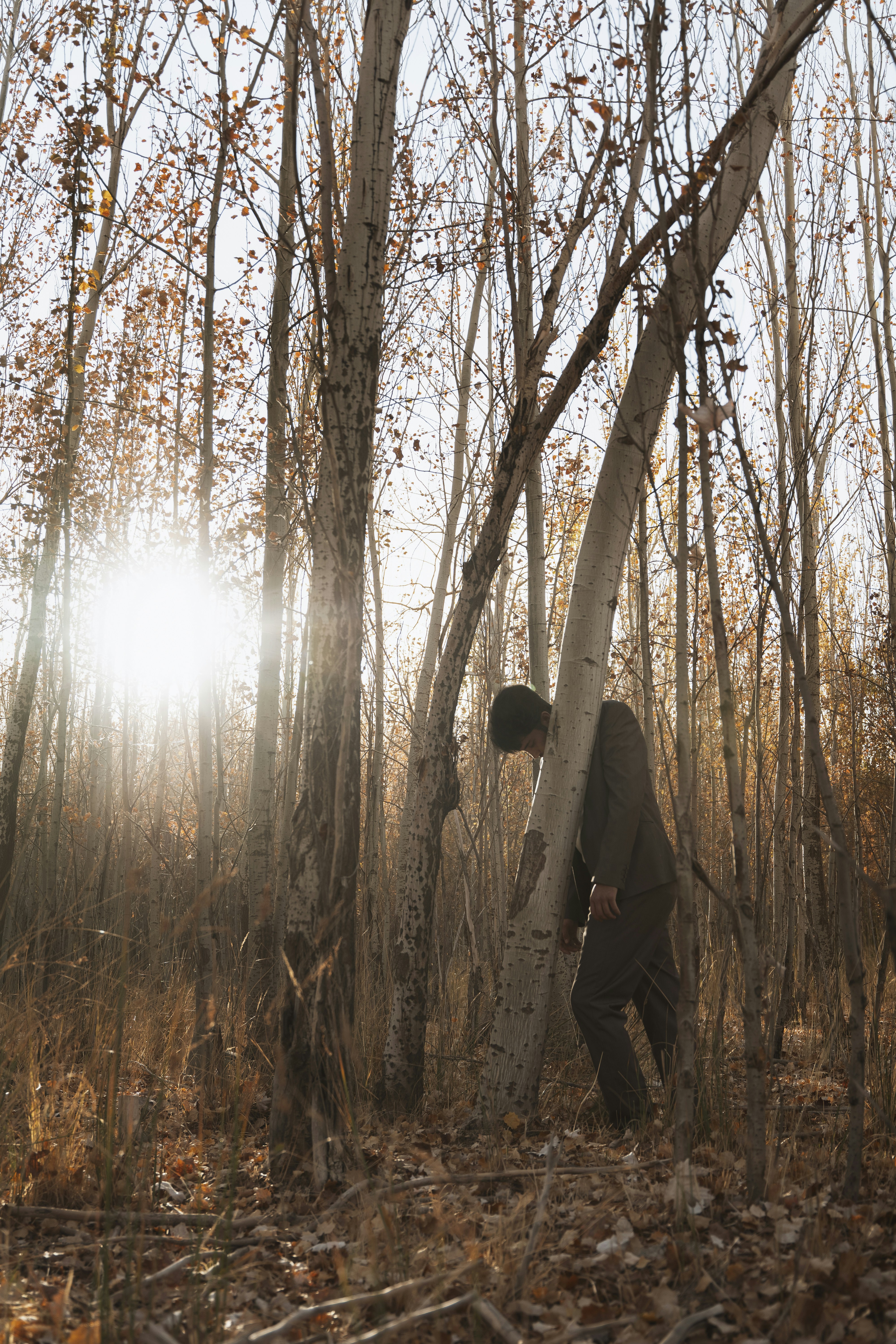 Photo by alikarimibn