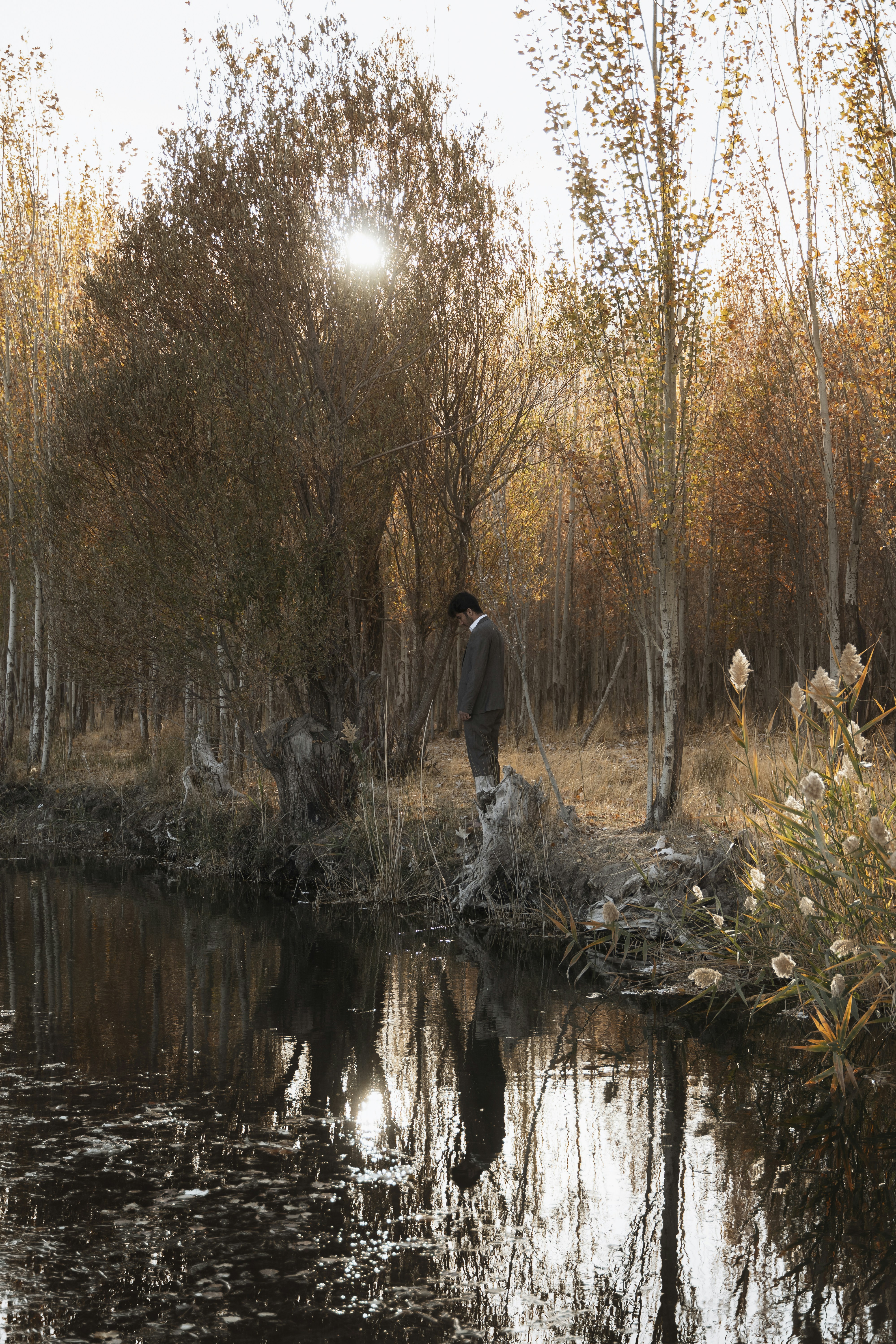 Photo by alikarimibn