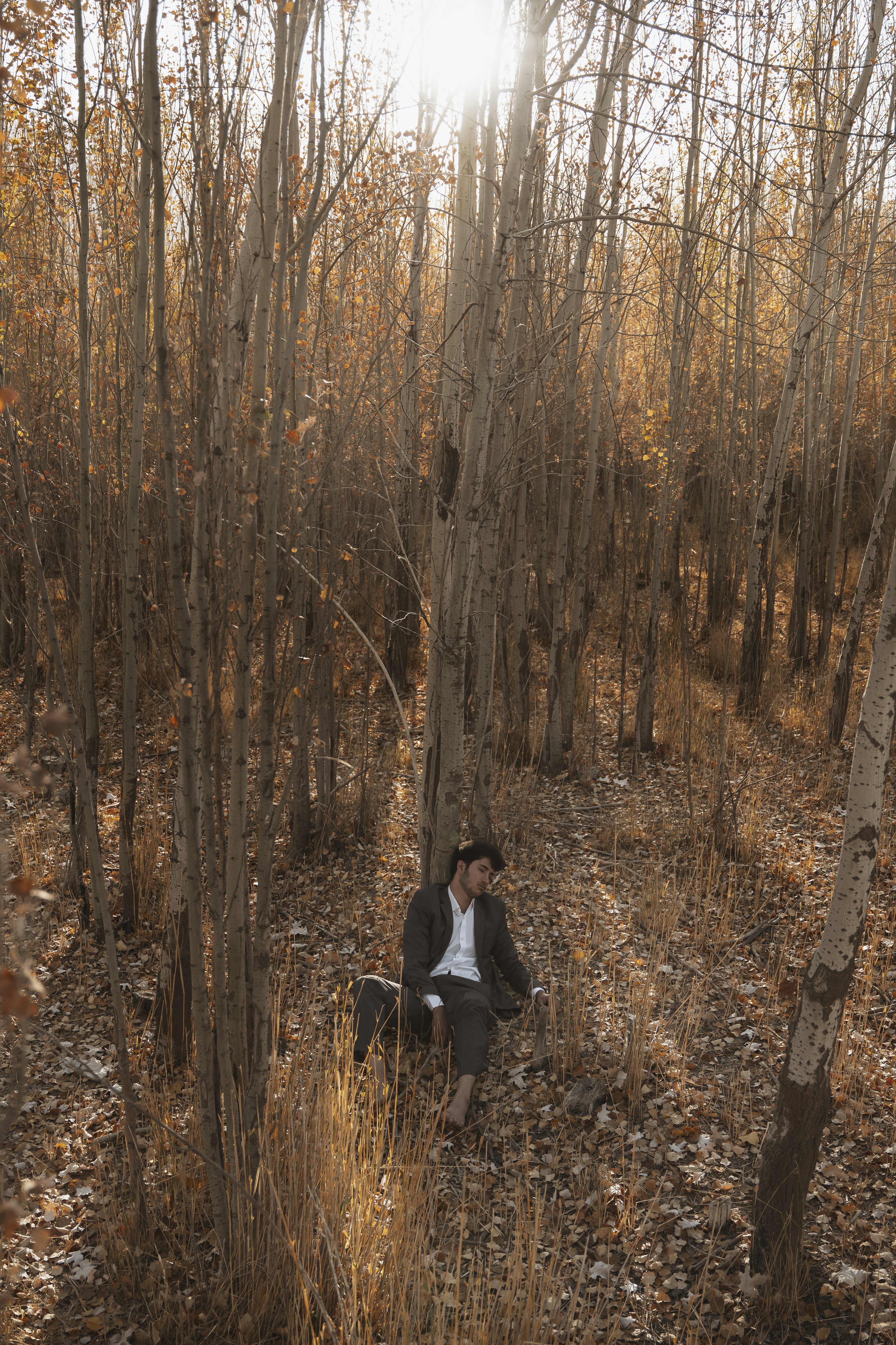 Photo by alikarimibn