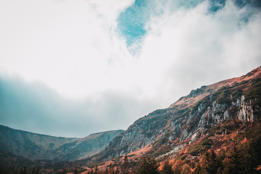 a view of a mountain with trees in the foreground