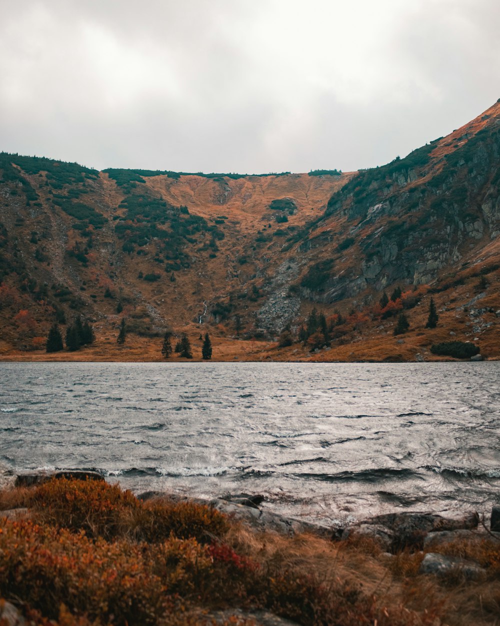 a body of water surrounded by a lush green hillside