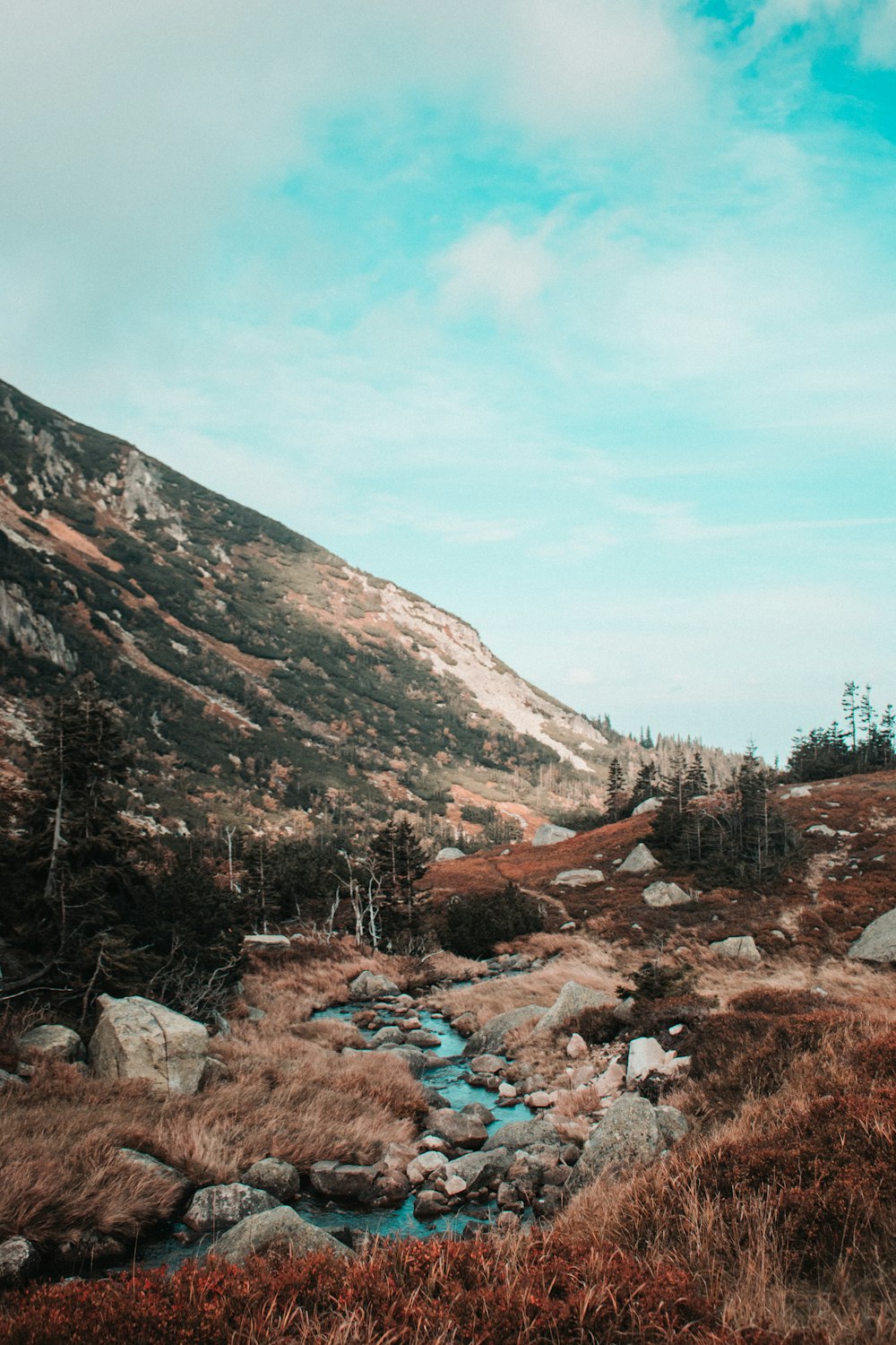 a mountain with a stream running through it