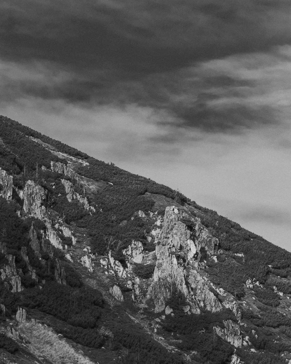 a black and white photo of a mountain