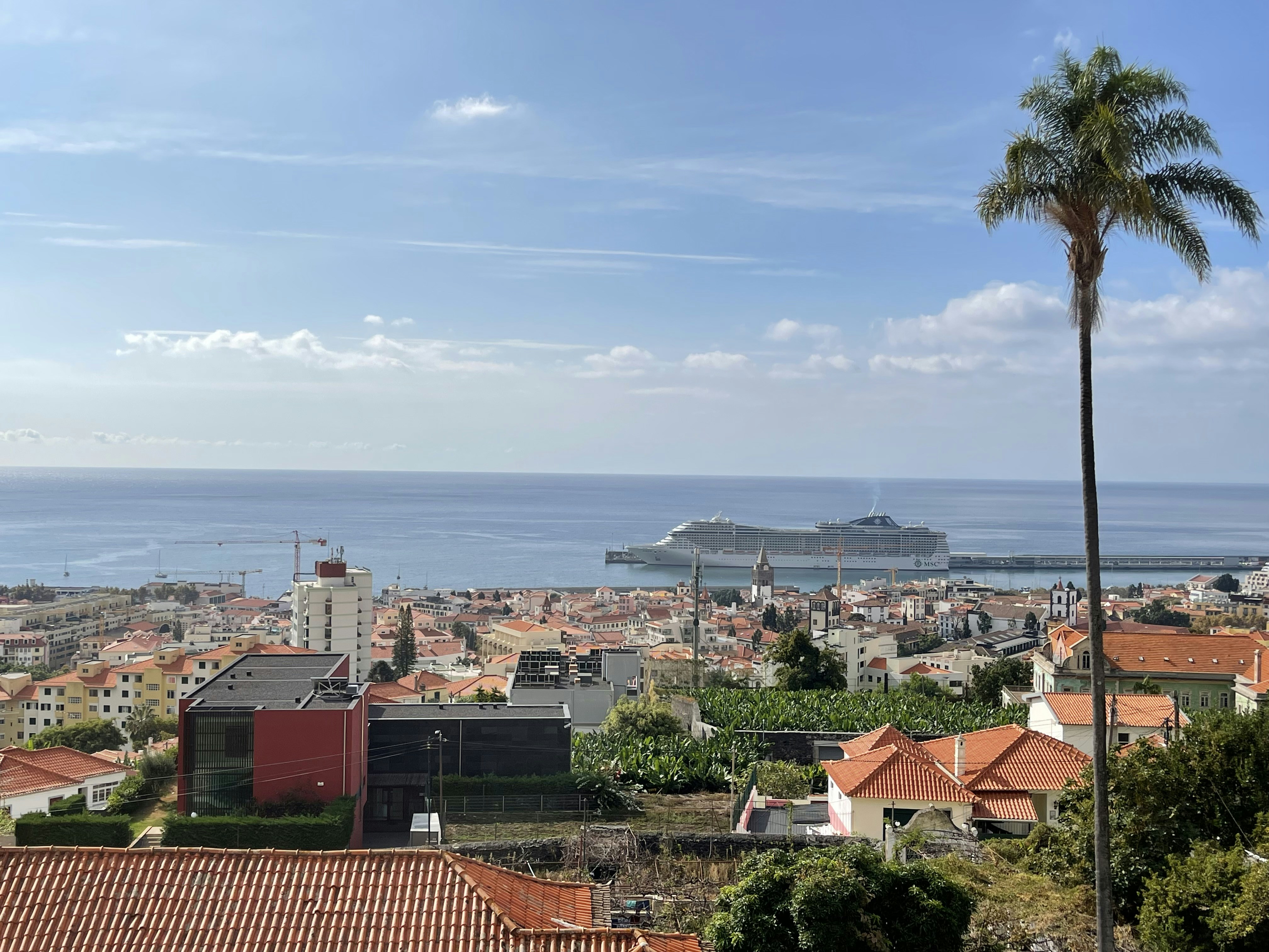a cruise ship is in the distance on the water