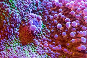 Close-up of vibrant, colorful slime textures in various patterns