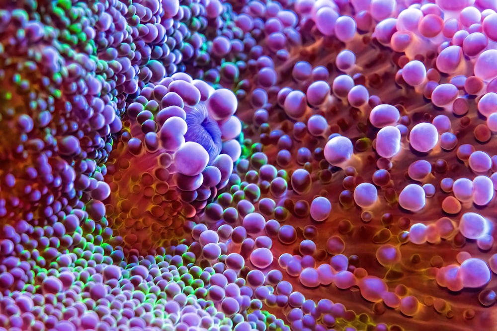 a close up of a bunch of balls on a surface