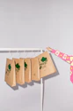 a woman holding a paper bag on a clothes line