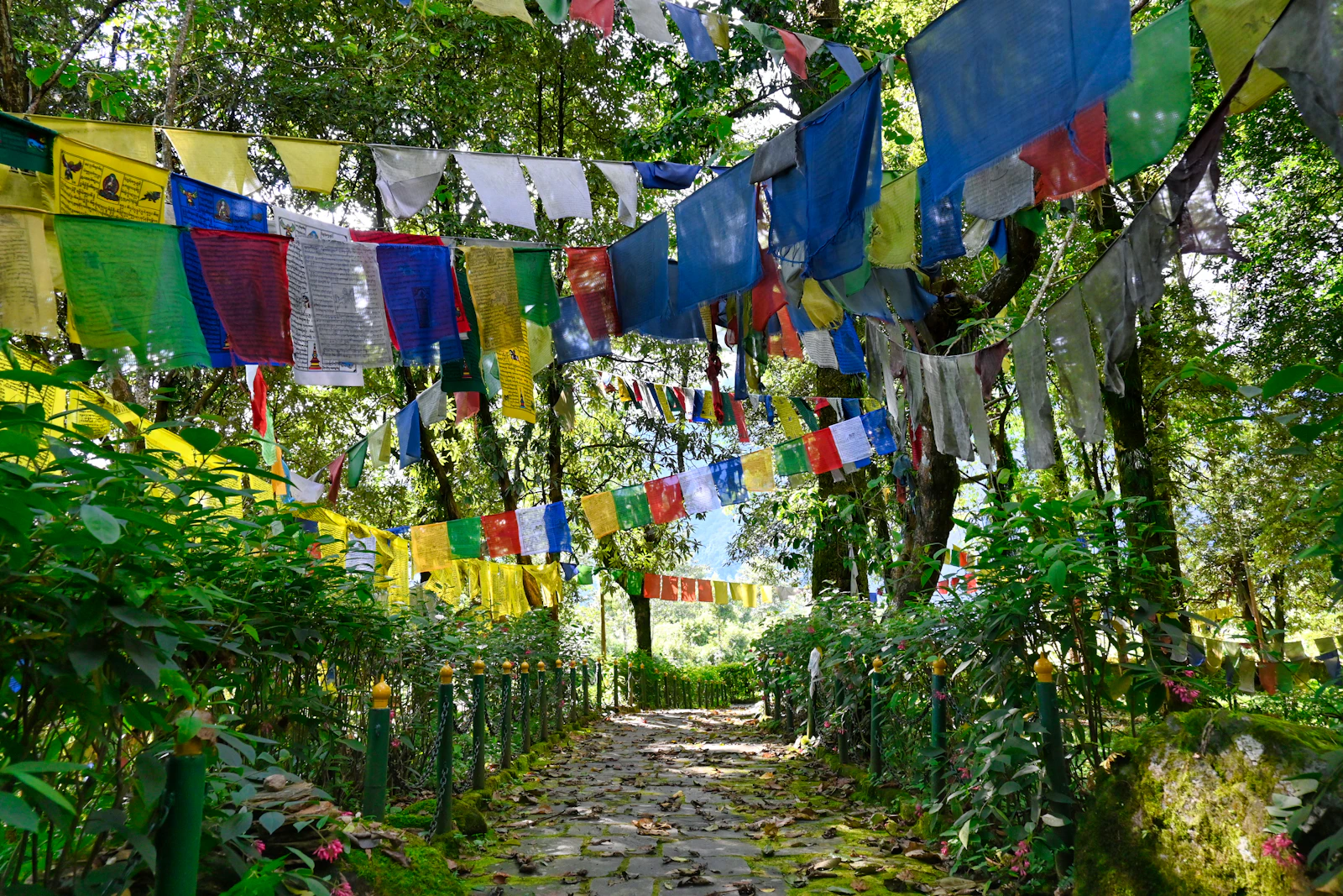A stone footpath under strings of prayer flags between trees in Yuksom, West Sikkim
