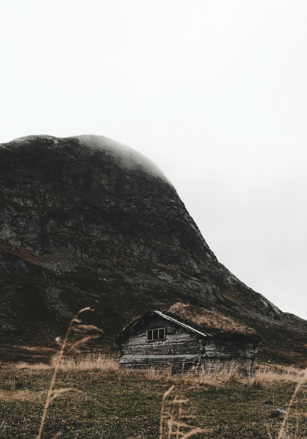 a house in a field with a mountain in the background