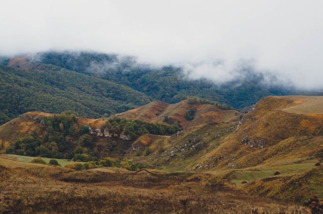 A scenic view of lush farmland in Muthati.